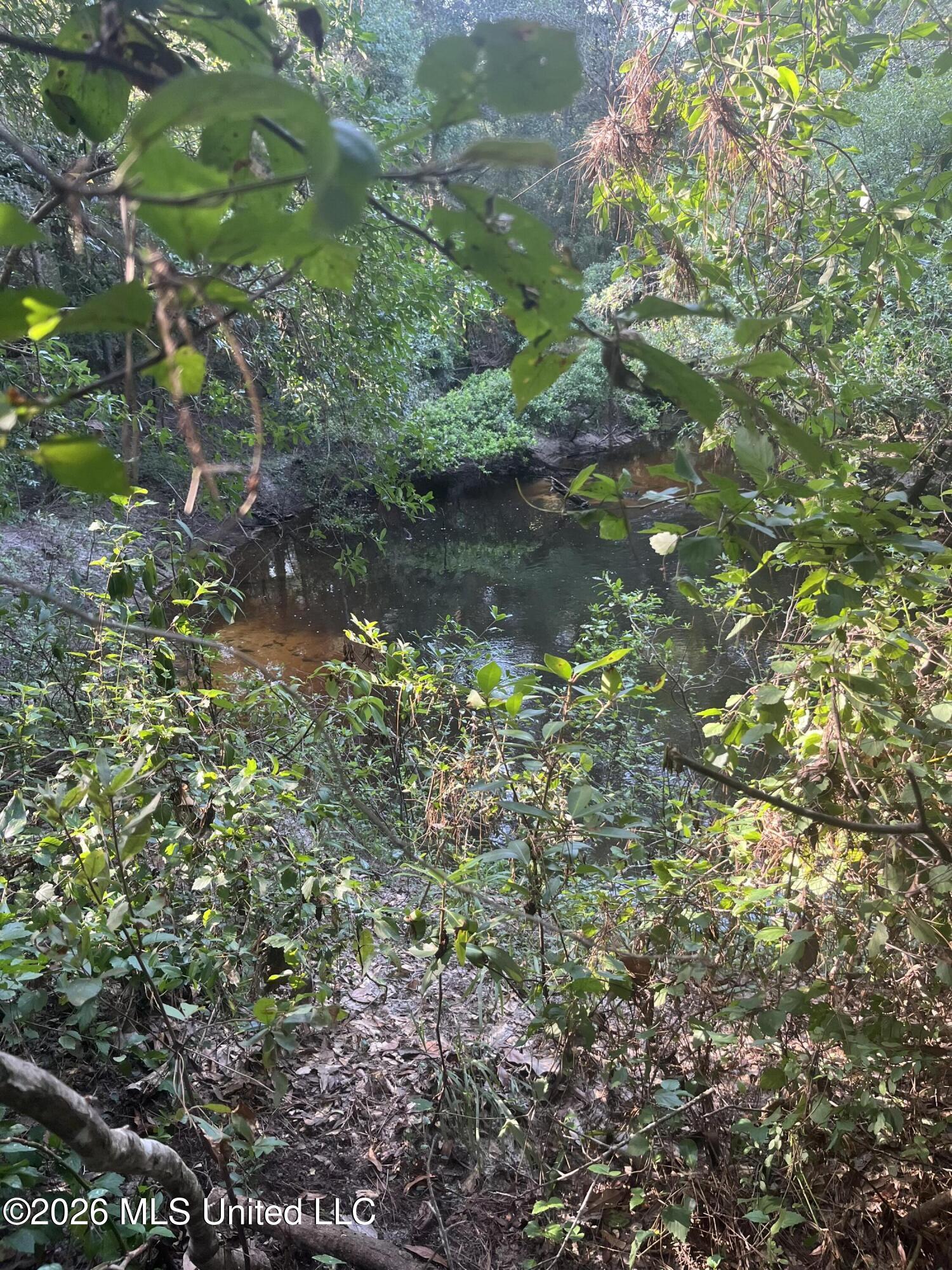 000 Crane Creek Rd Road Property Photo 7