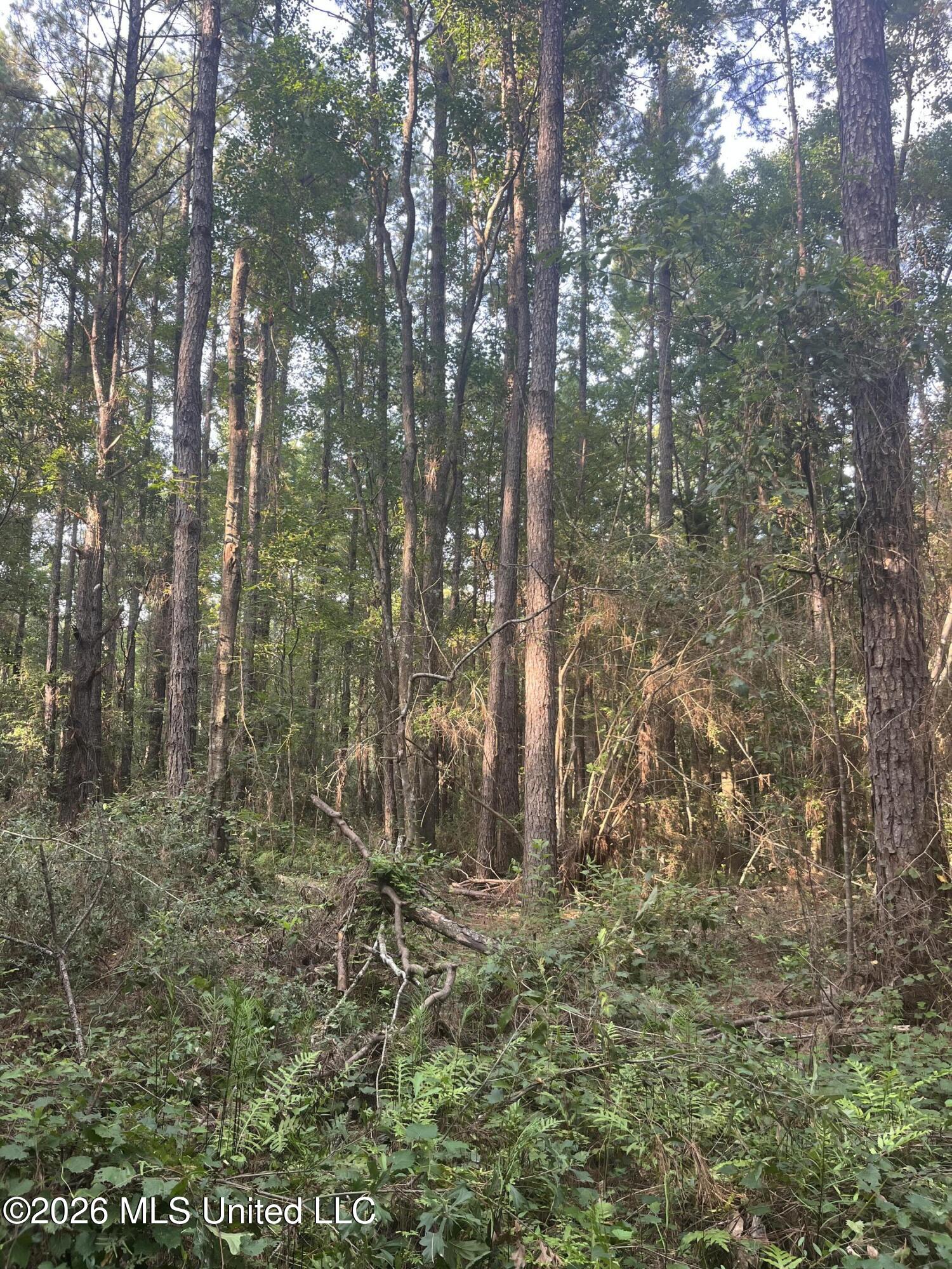 000 Crane Creek Rd Road Property Photo 8