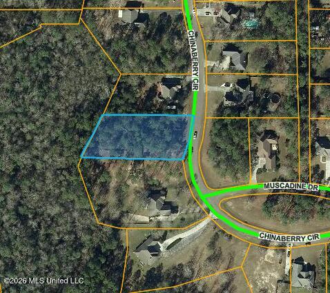 Lot 15 Chinaberry Circle Property Photo 26