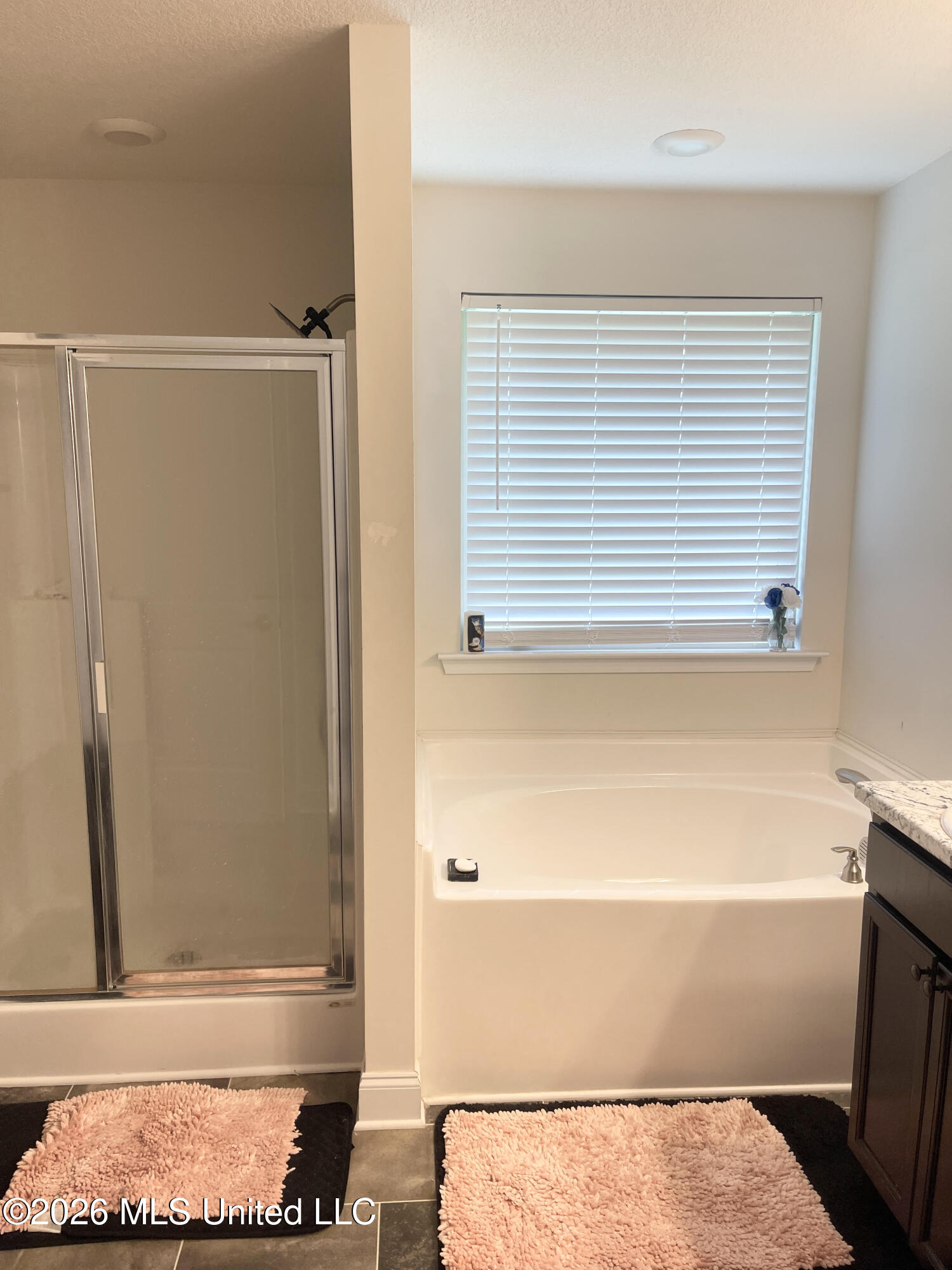 8673 Kimberly Dawn Drive Property Photo 4