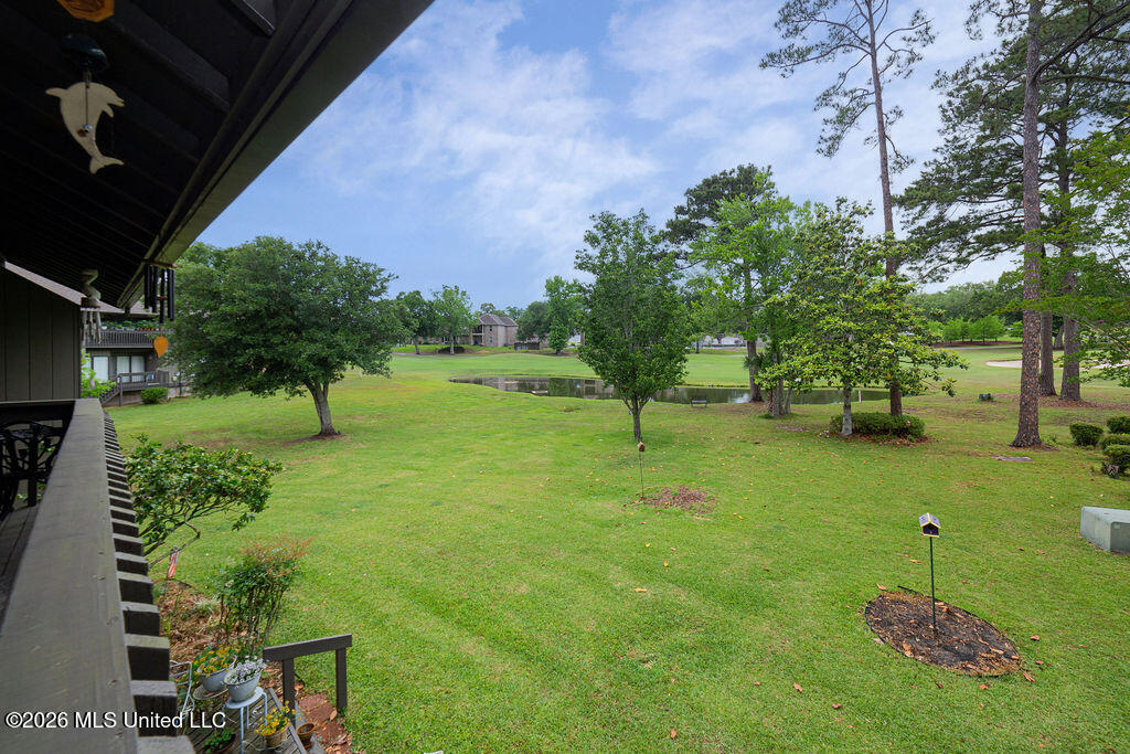 248 Lanai Village Property Photo 39