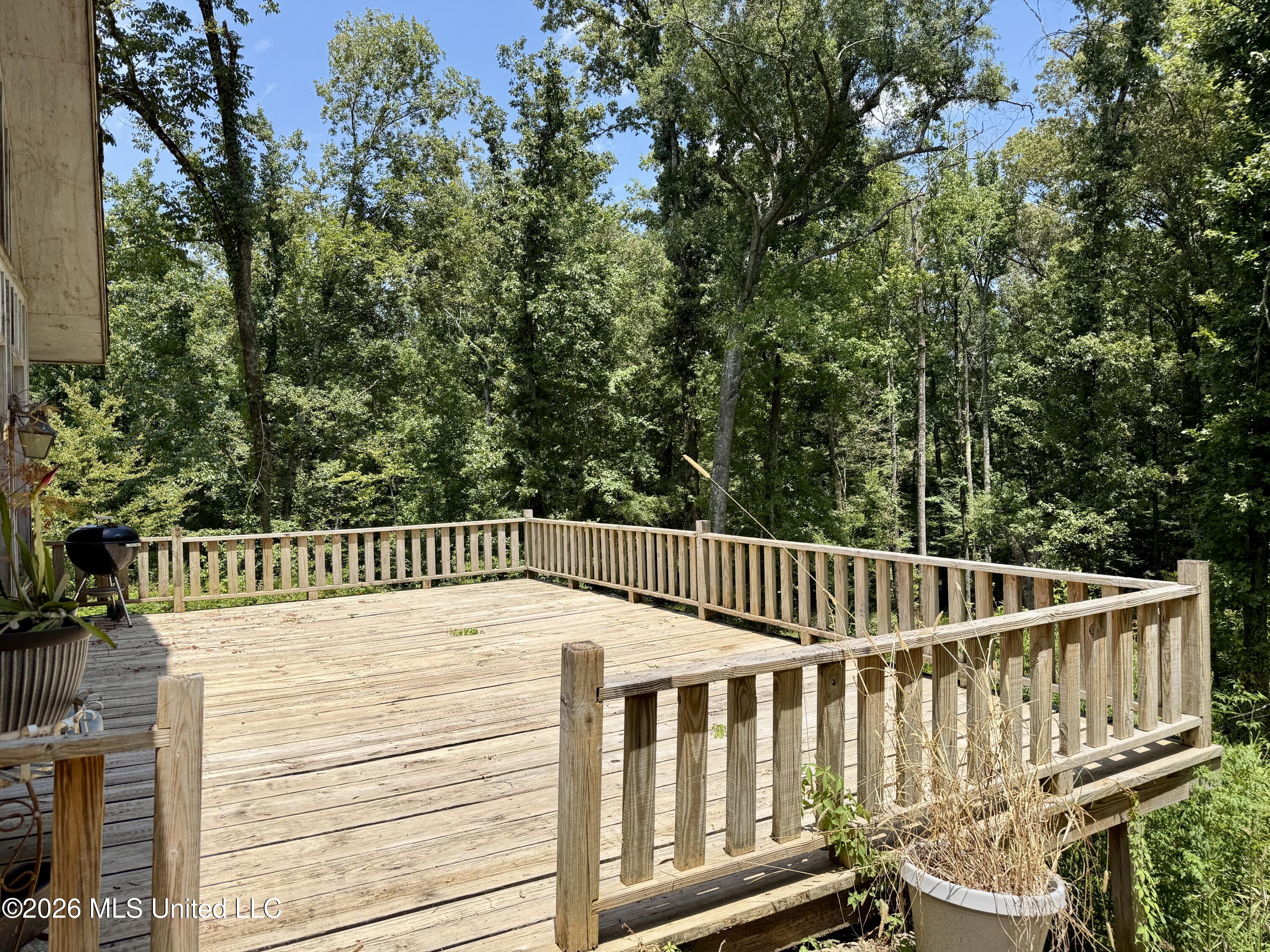 1931 Dry Fork Creek Road Property Photo 4