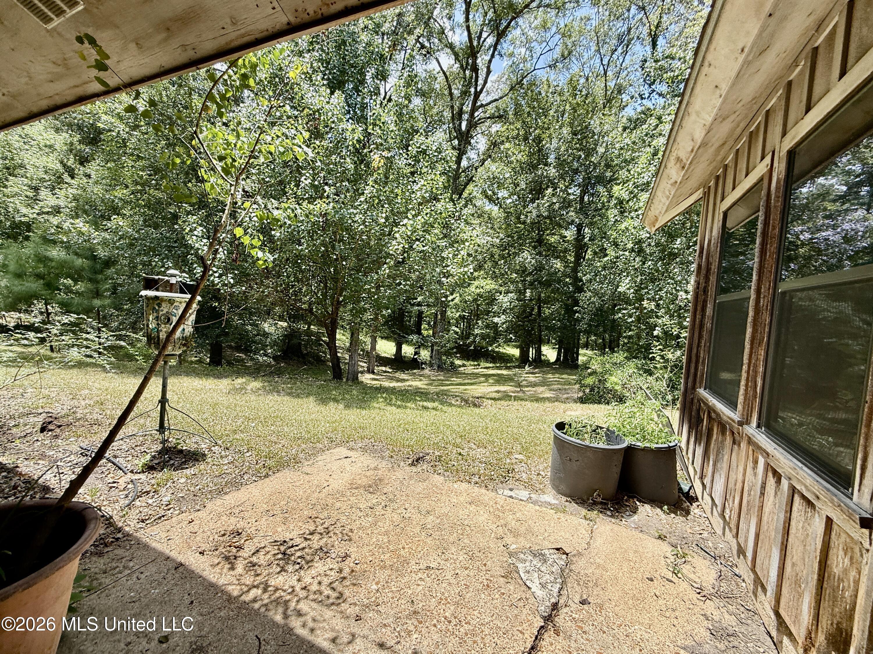 1931 Dry Fork Creek Road Property Photo 6