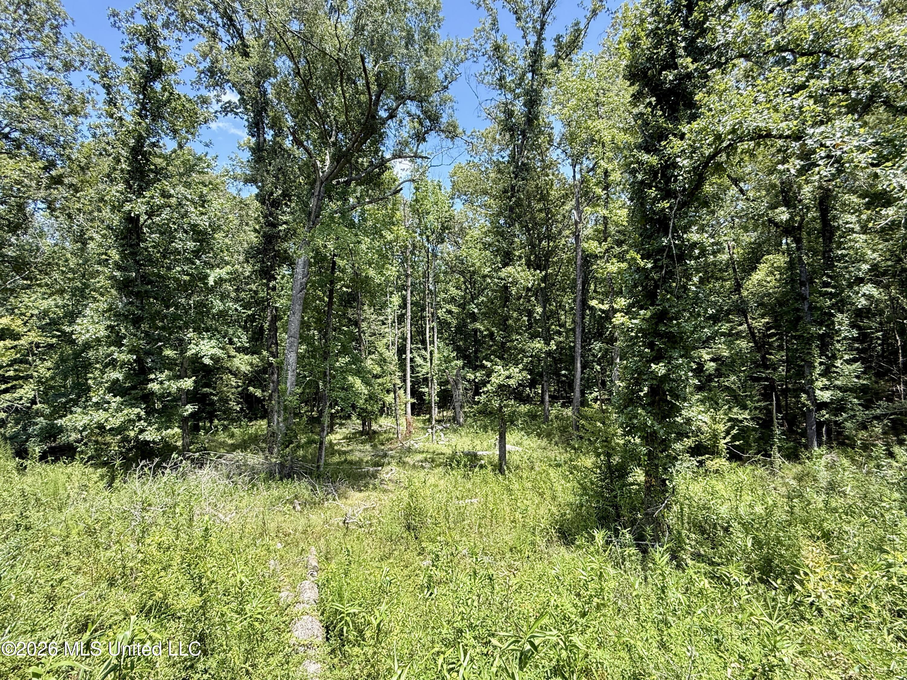 1931 Dry Fork Creek Road Property Photo 24