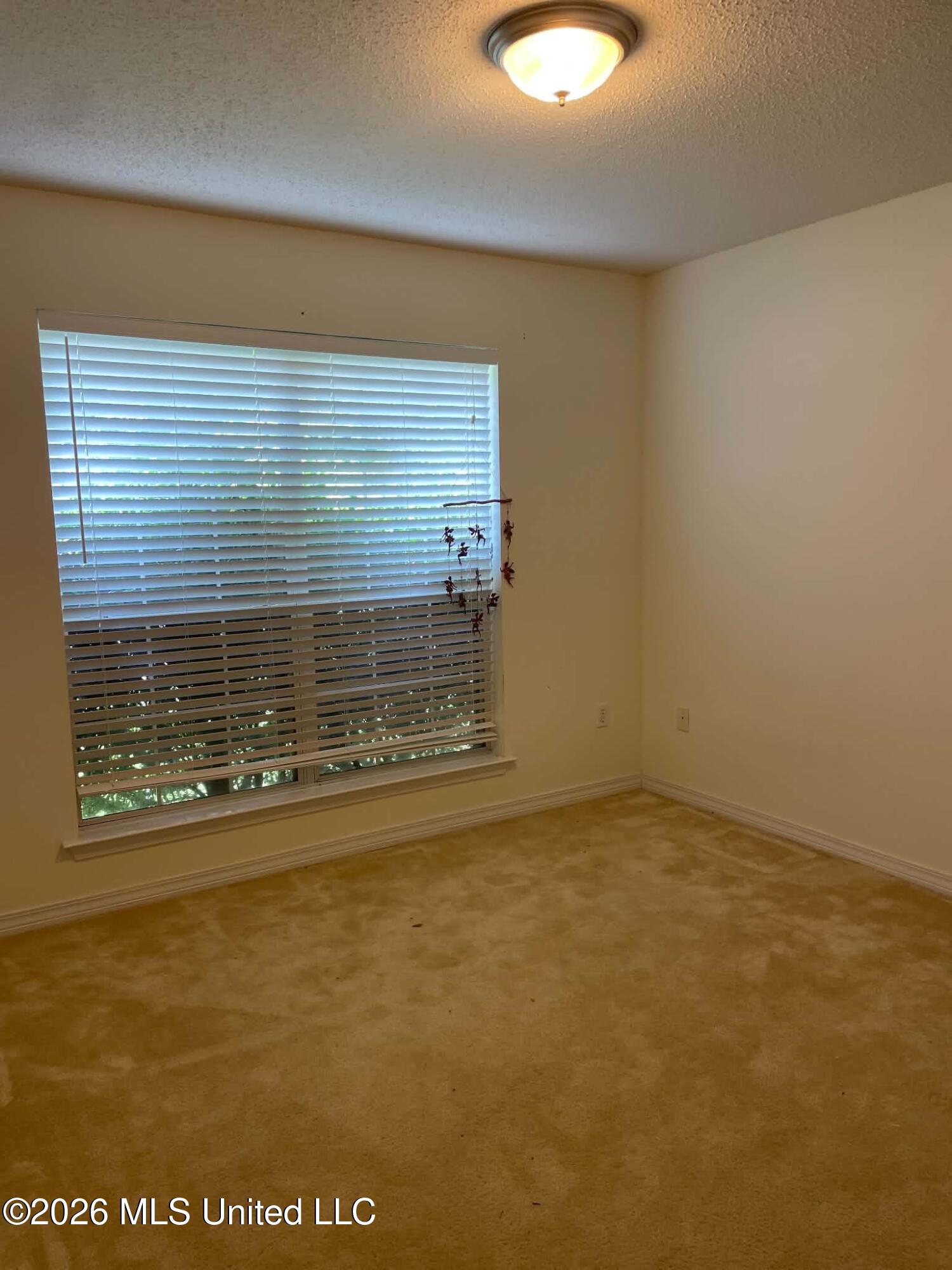 15116 Clear Springs Drive Property Photo 11