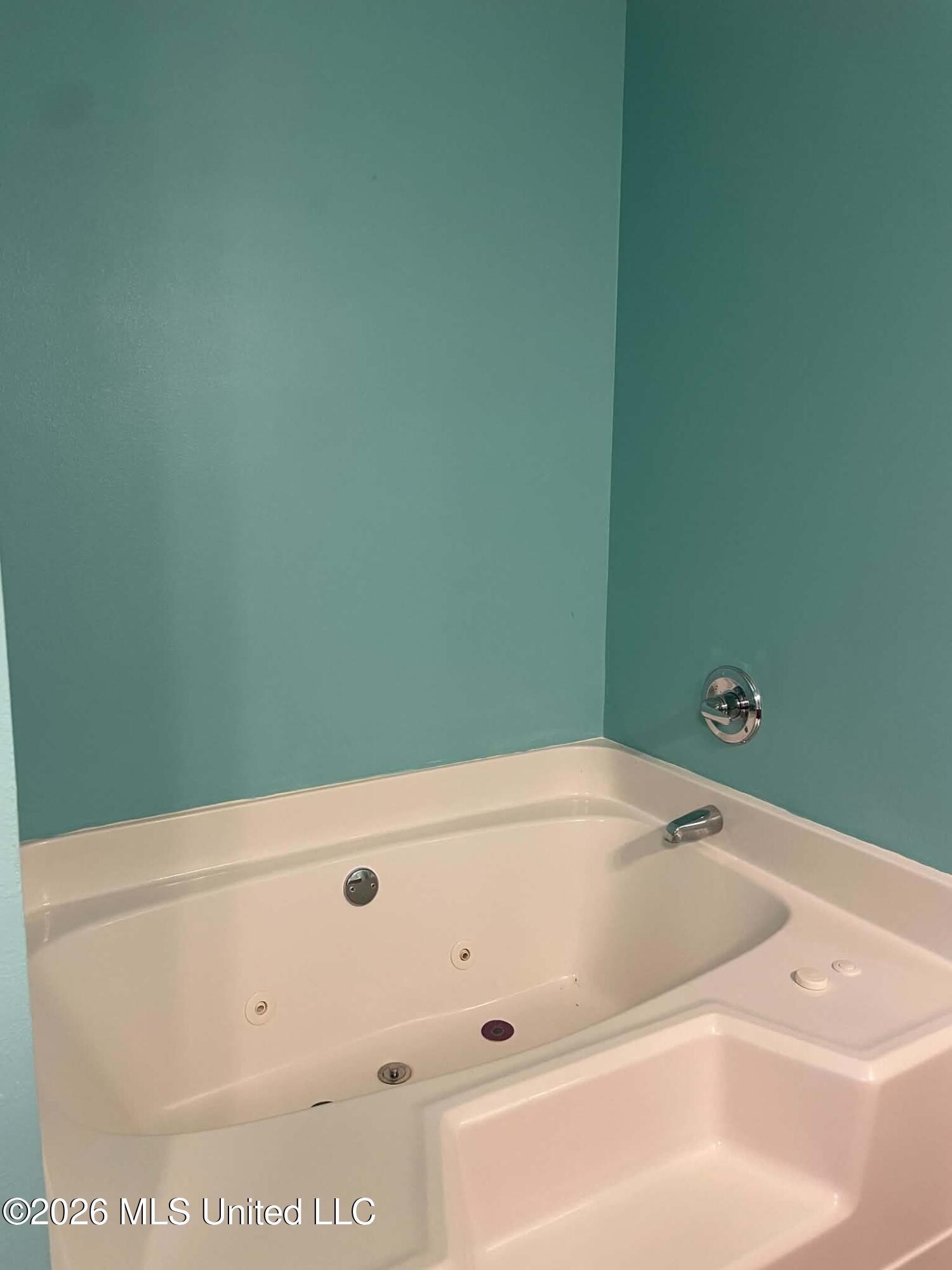 15116 Clear Springs Drive Property Photo 16