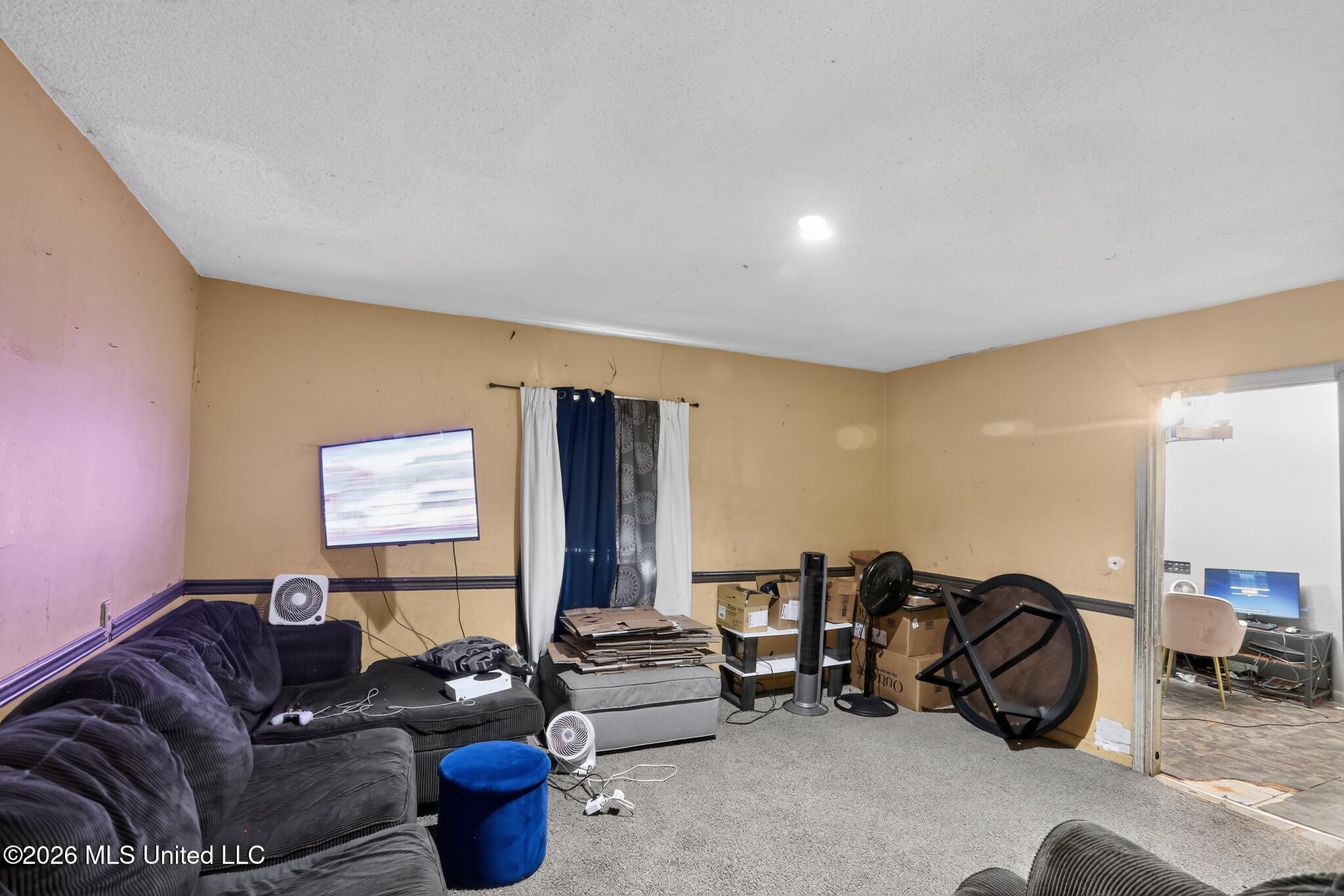 233 Hays Street Property Photo 5