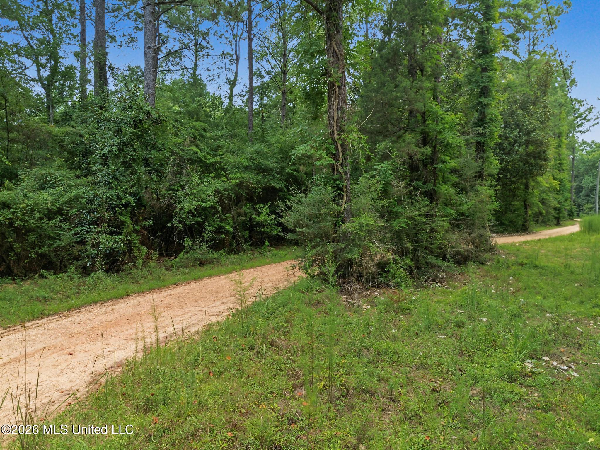 Shep Batson Road Property Photo 9