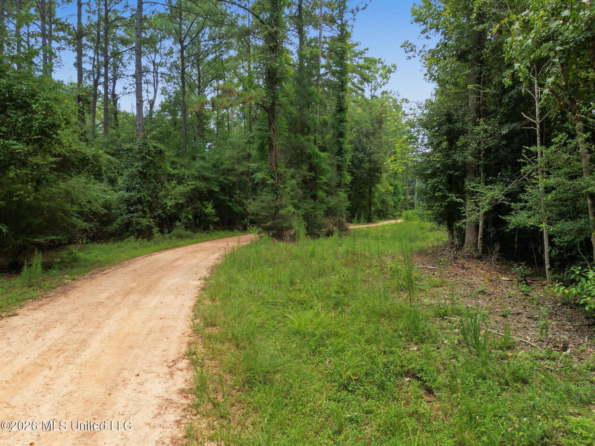 Shep Batson Road Property Photo 10