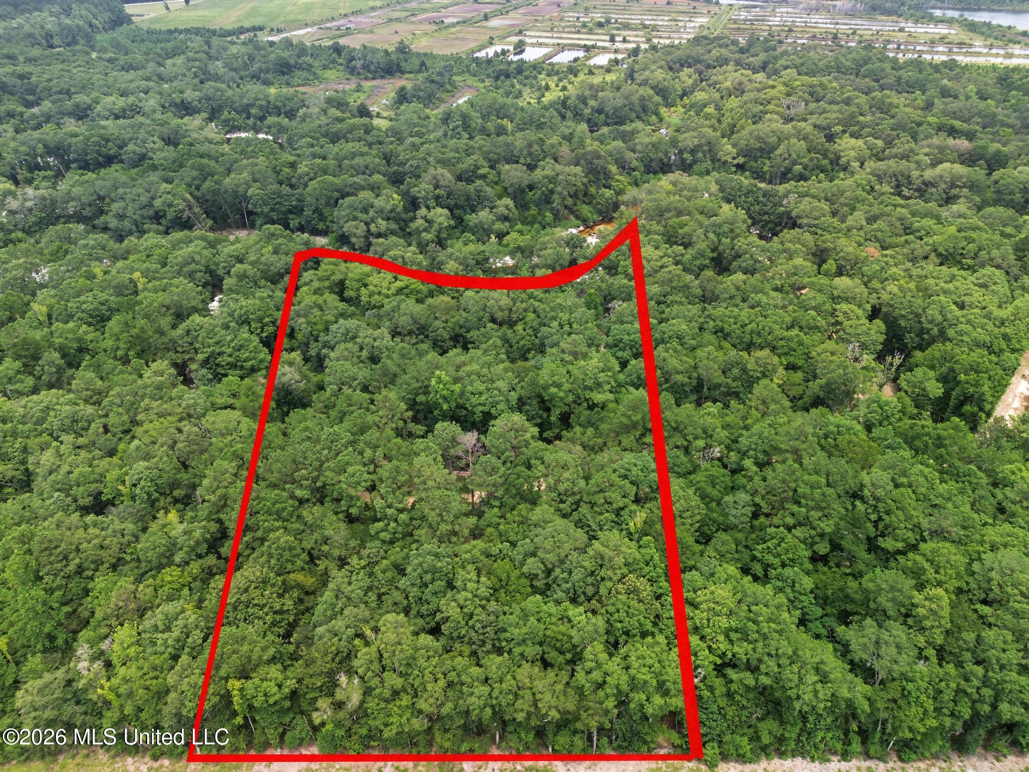Shep Batson Road Property Photo 11