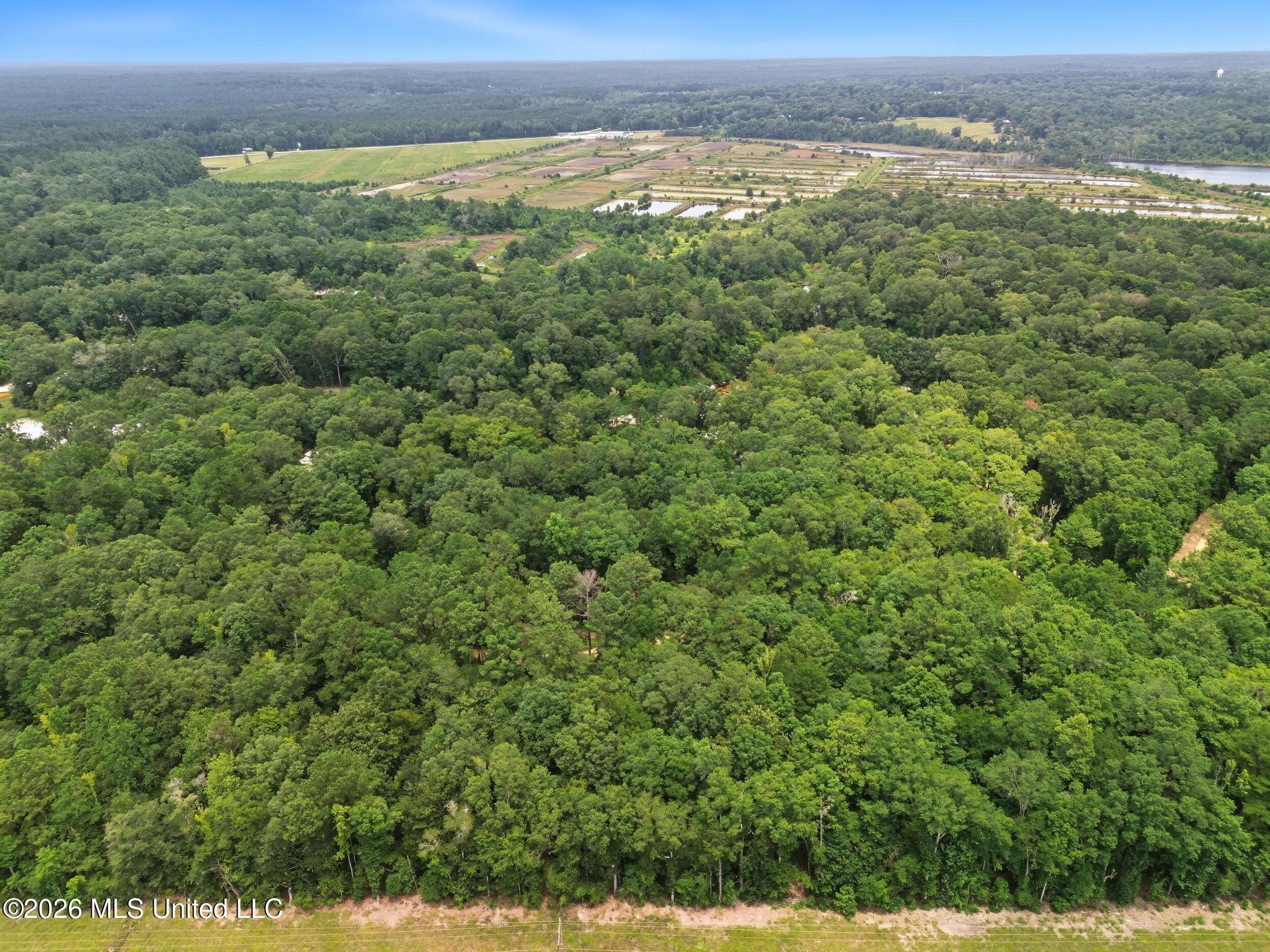 Shep Batson Road Property Photo 12