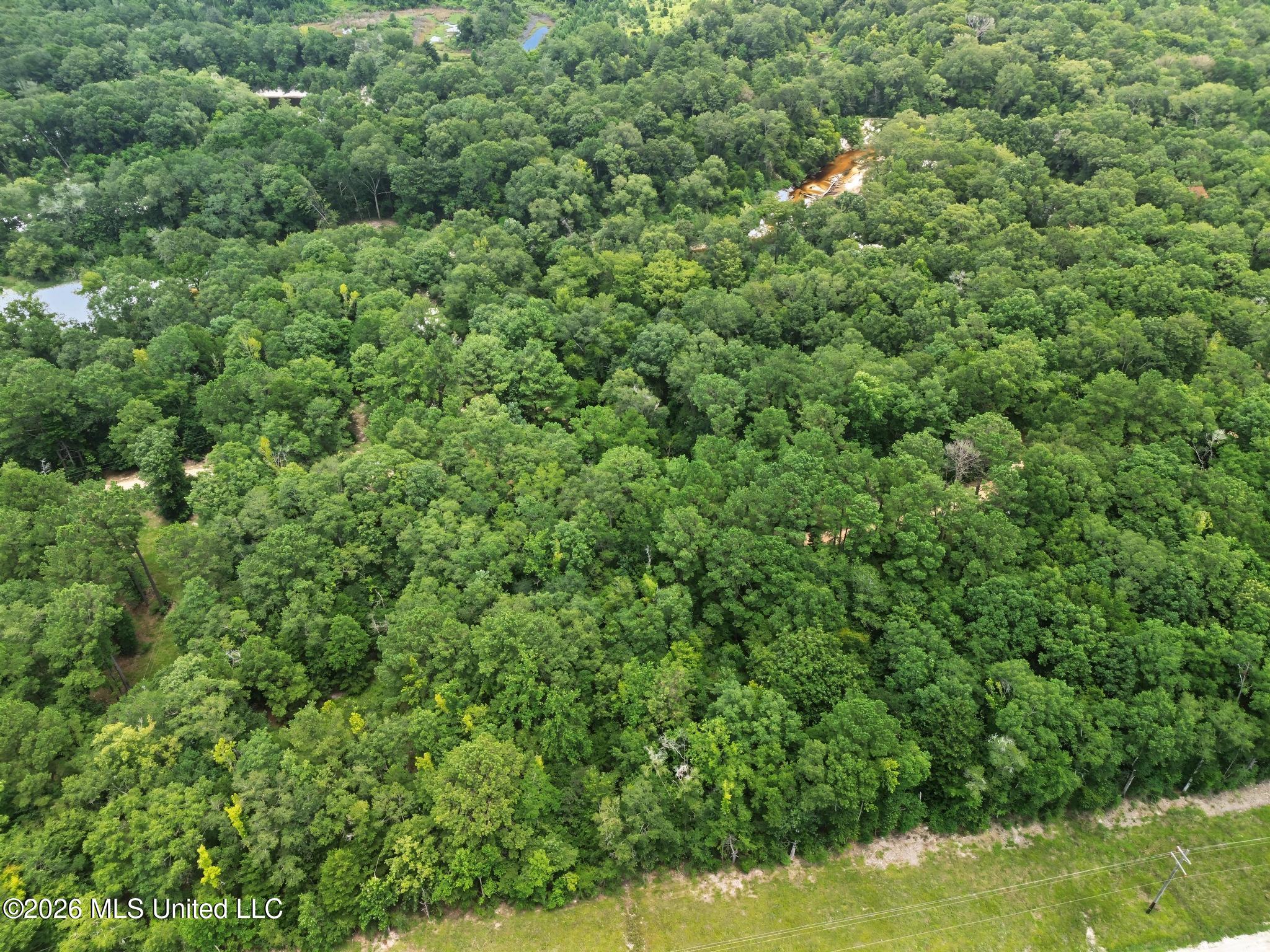 Shep Batson Road Property Photo 13