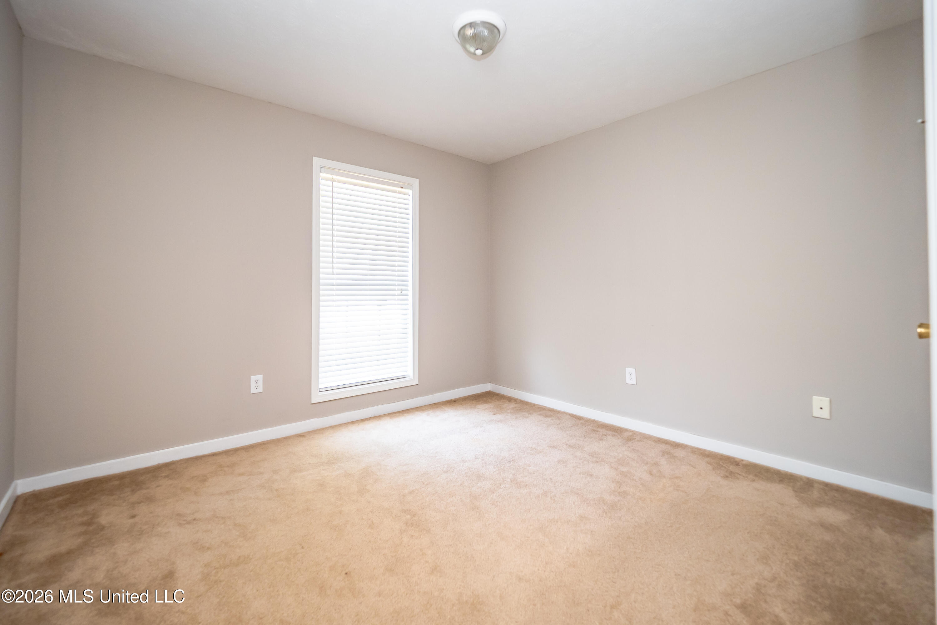 107 Chinkapin Cove Property Photo 17