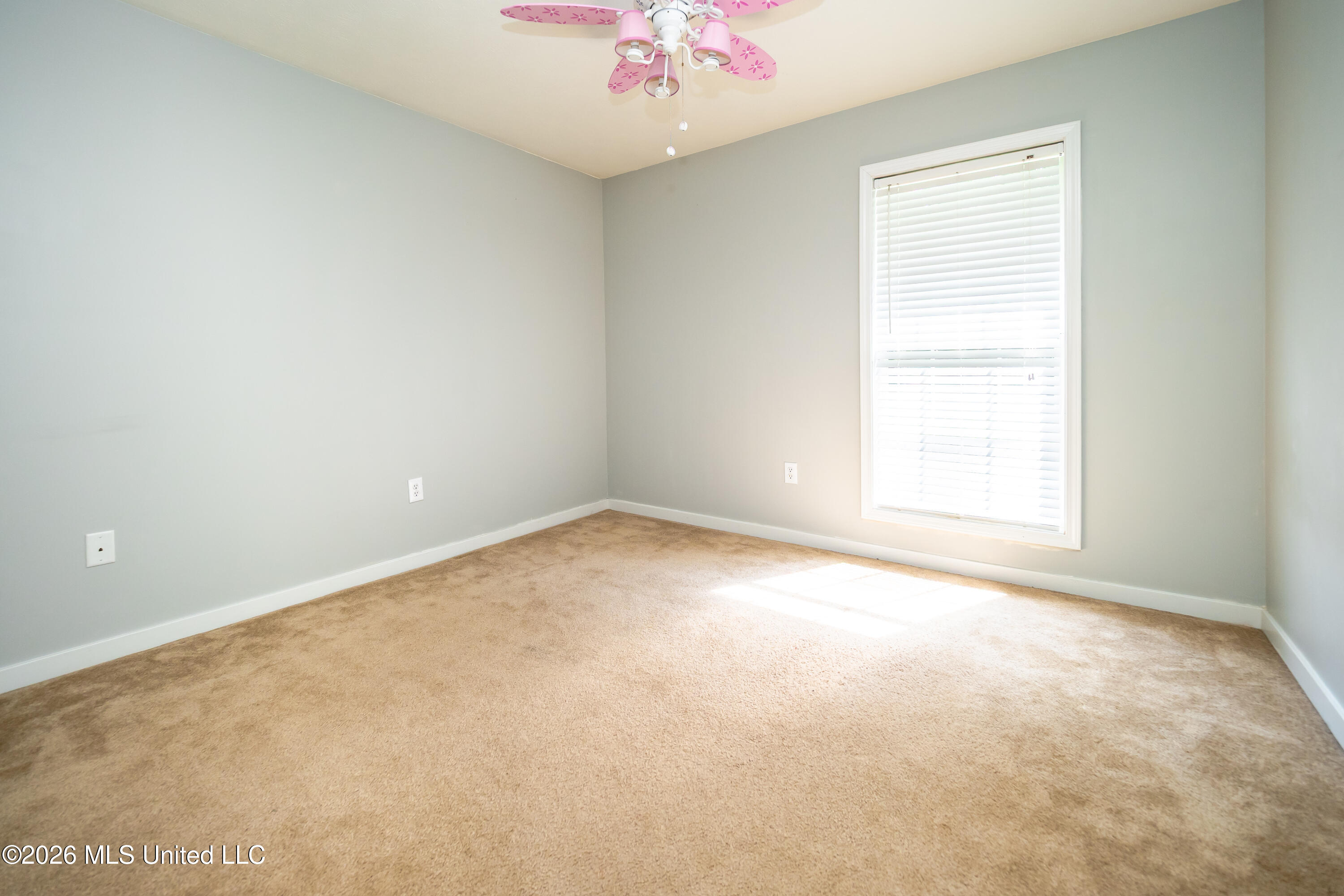 107 Chinkapin Cove Property Photo 19