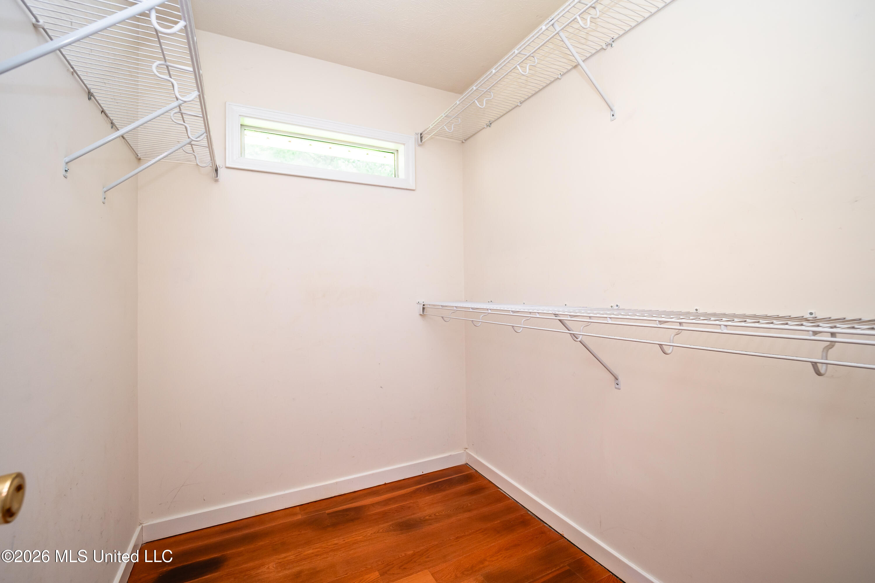 107 Chinkapin Cove Property Photo 20