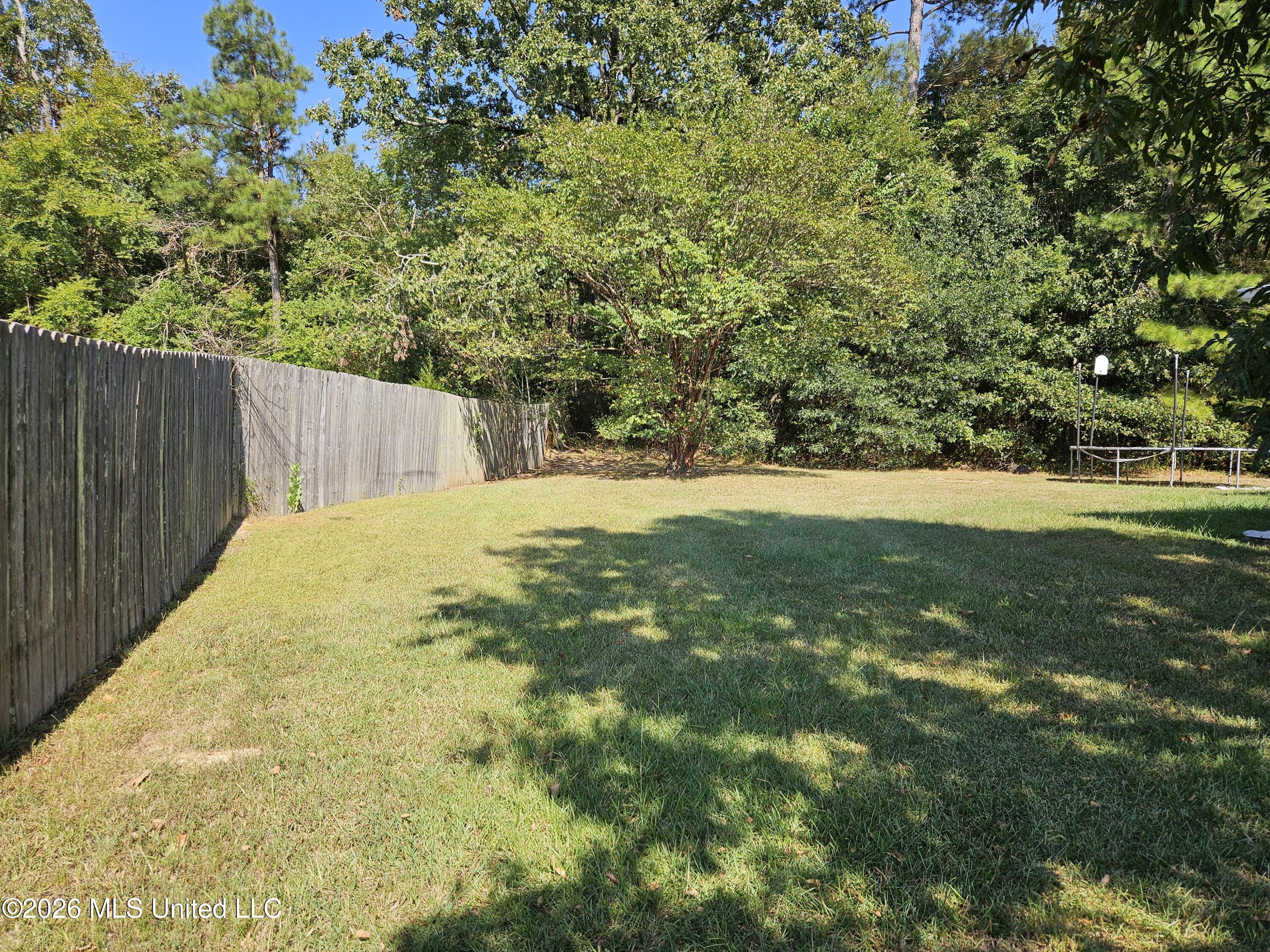 107 Chinkapin Cove Property Photo 25