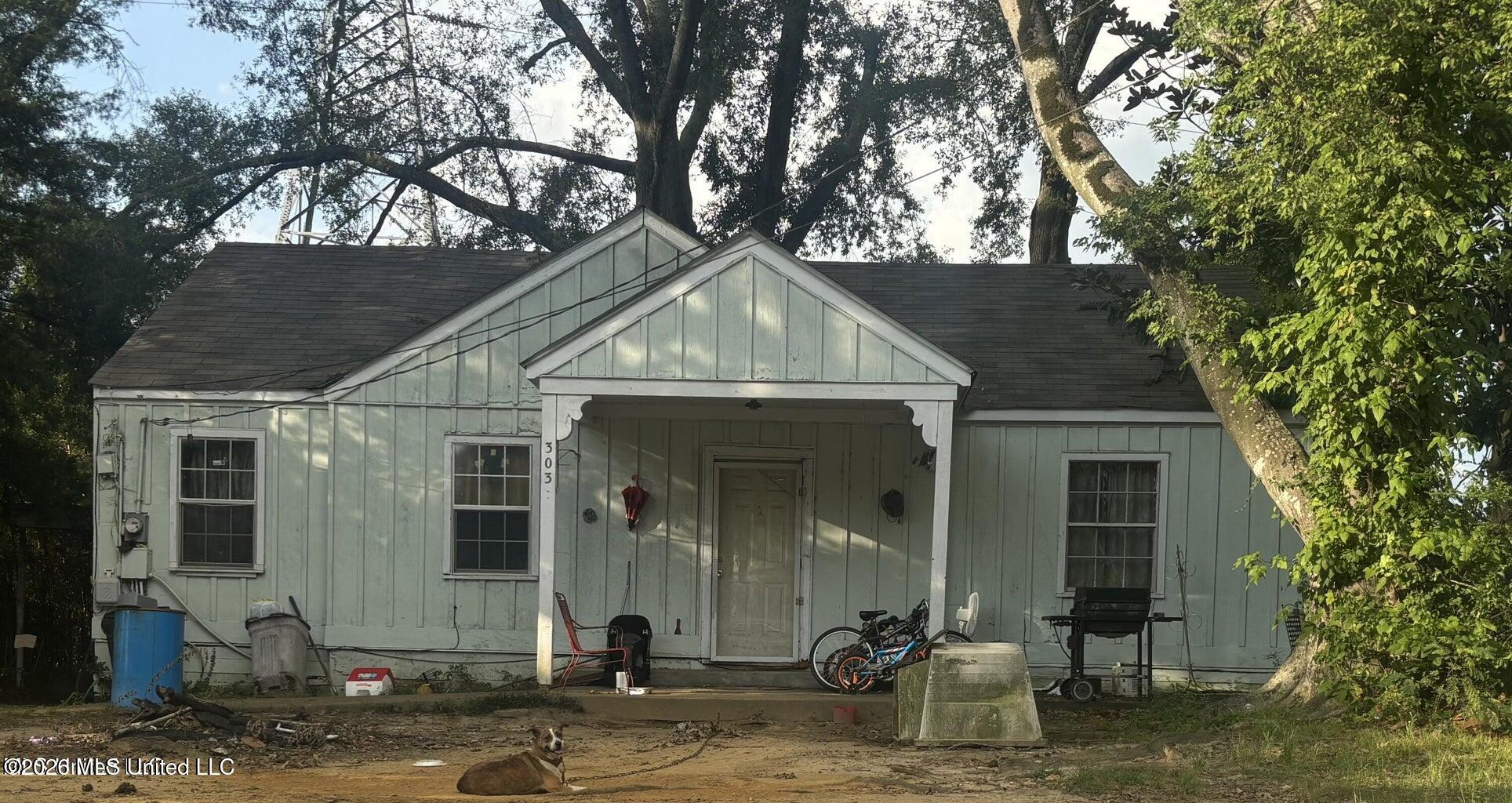 303 Sunny Lane Drive Property Photo 1