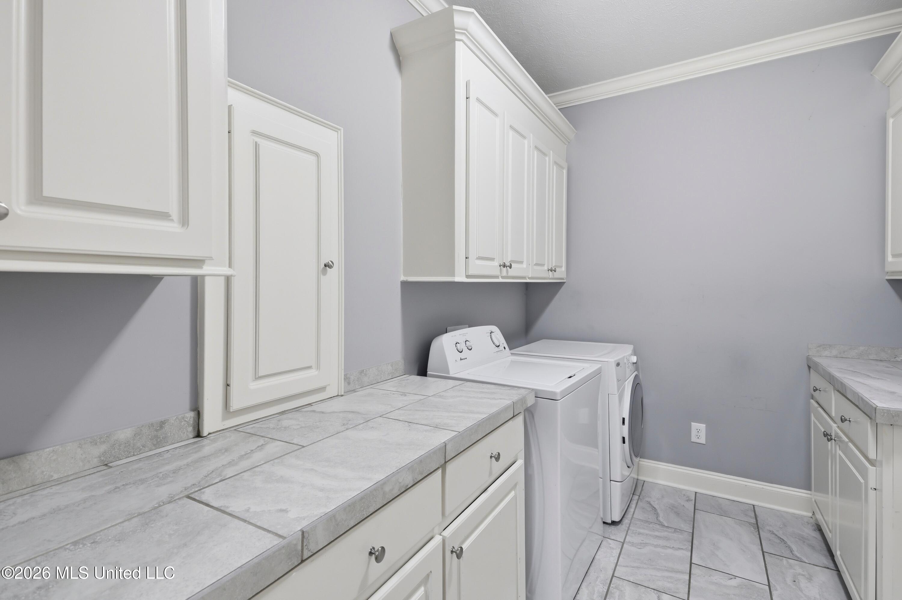 240 Falls Crossing Property Photo 11