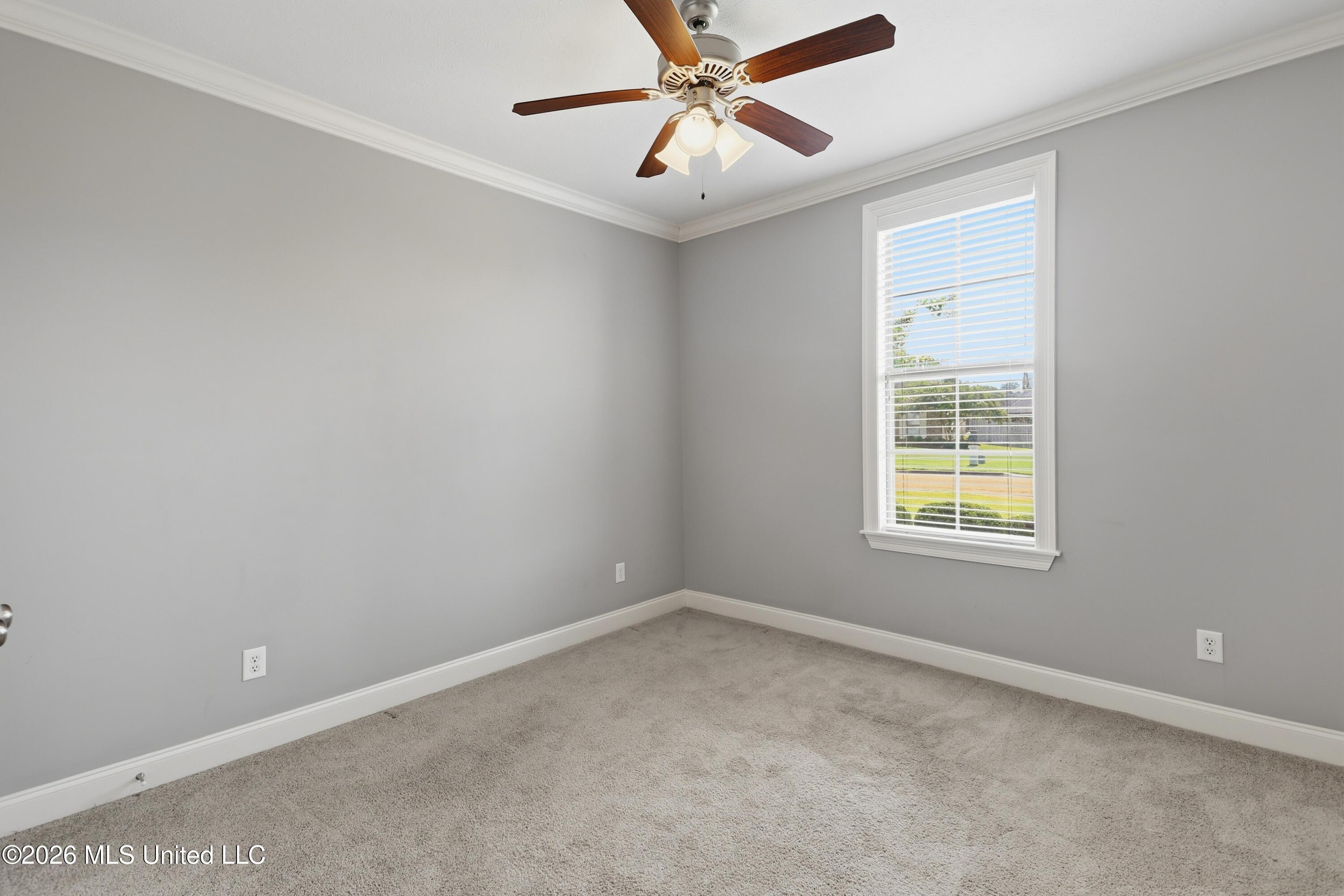 240 Falls Crossing Property Photo 17