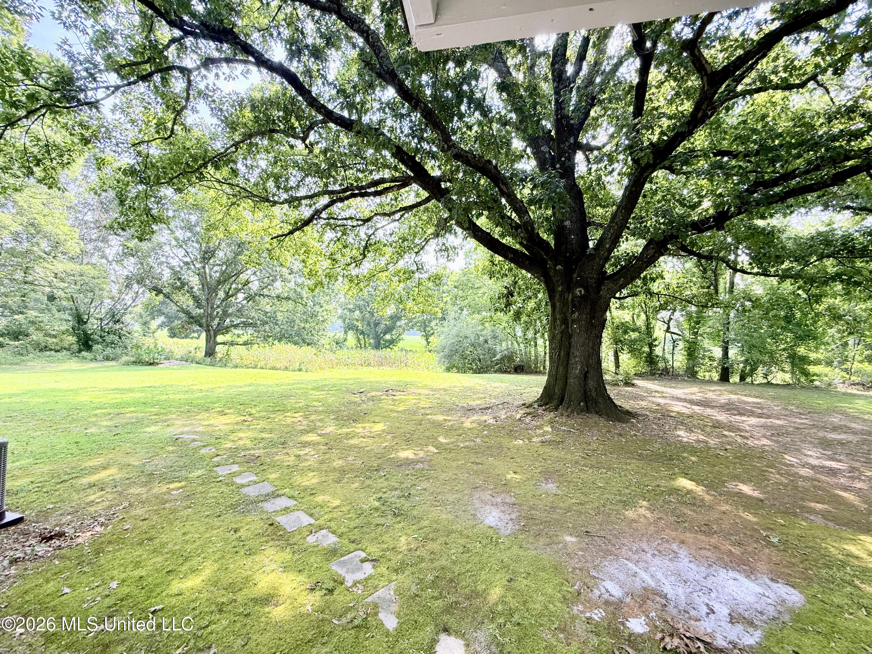 2590 Highway 51 Property Photo 23