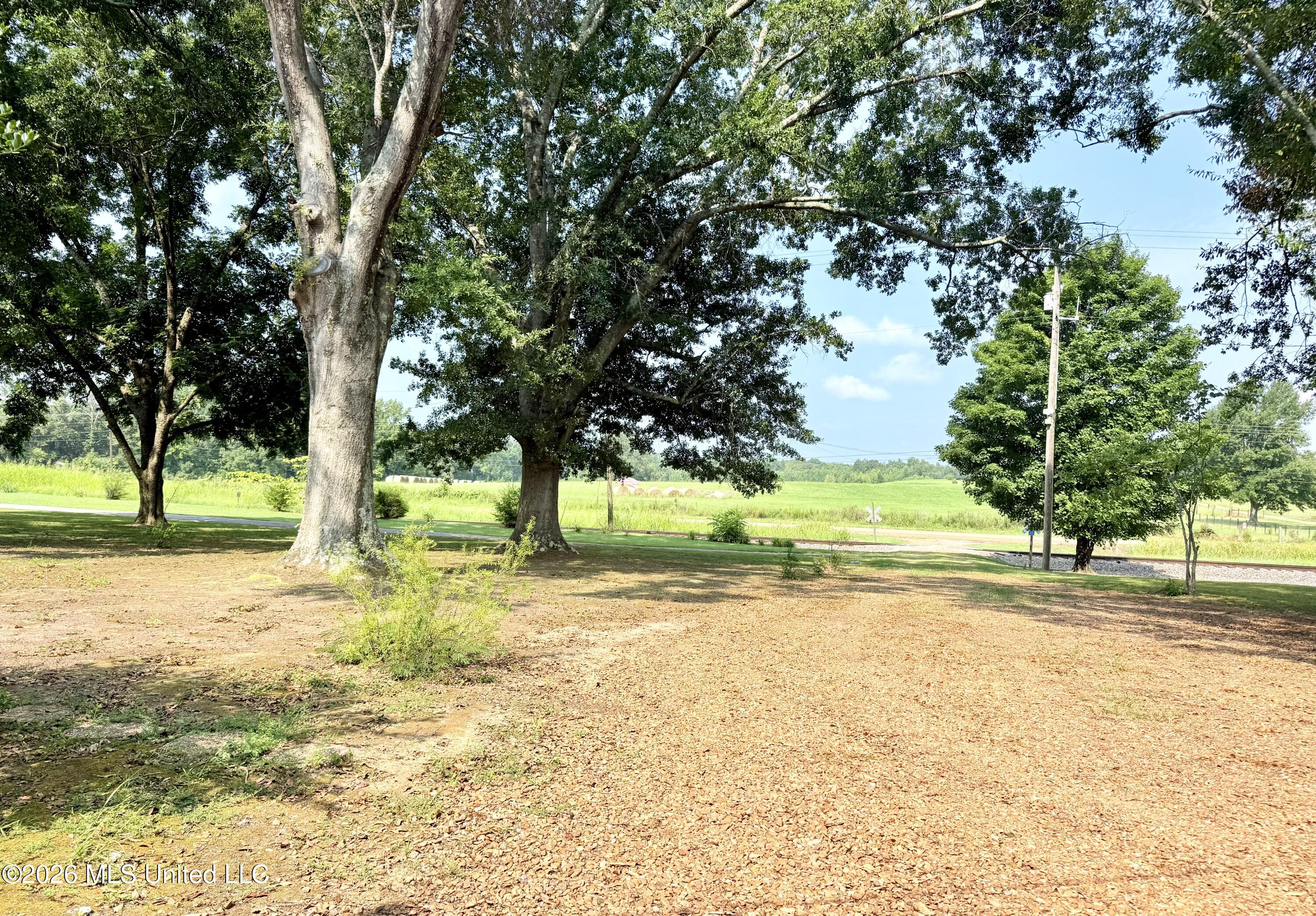 2590 Highway 51 Property Photo 24