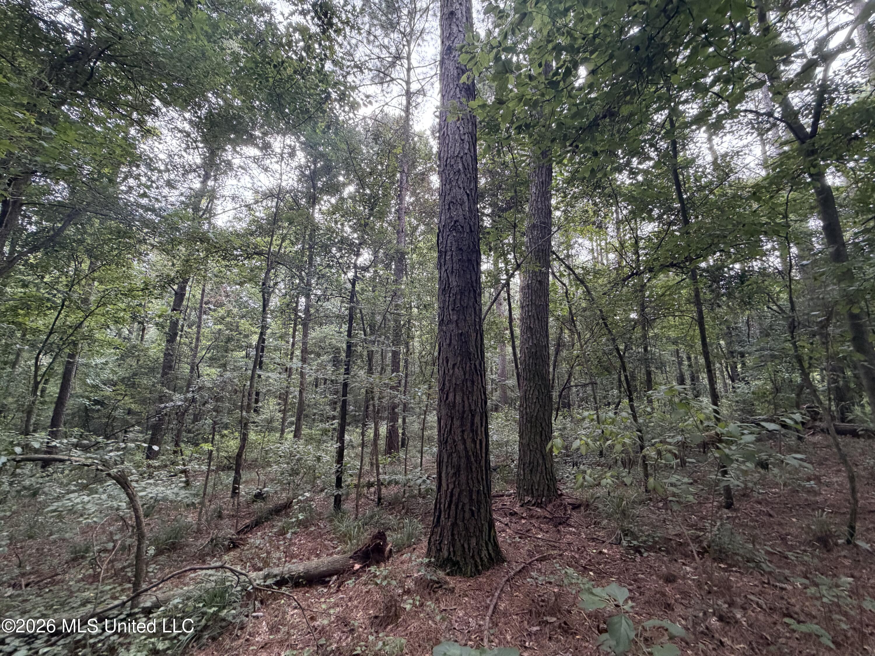 Shiloh Road Property Photo 1