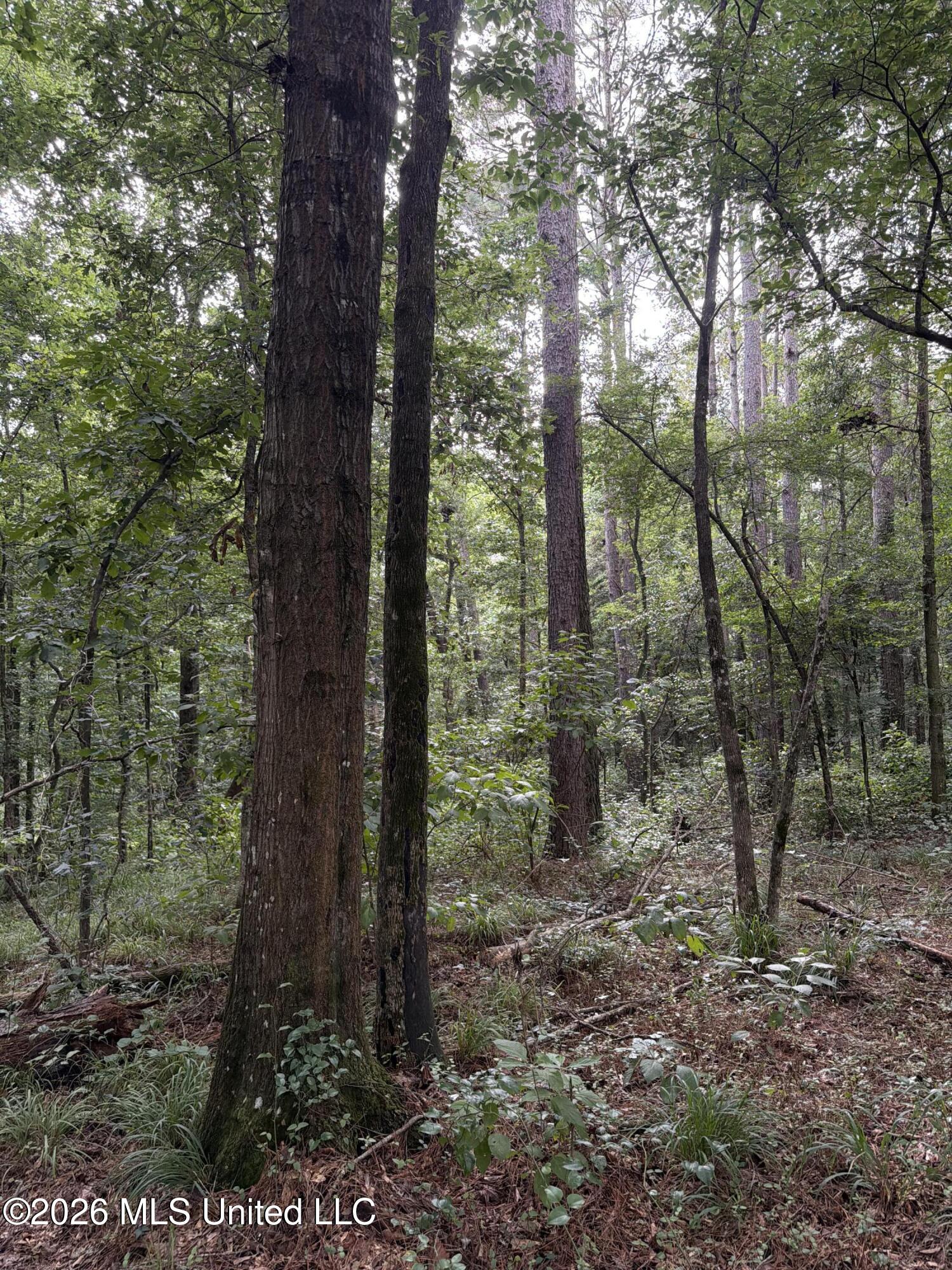 Shiloh Road Property Photo 2