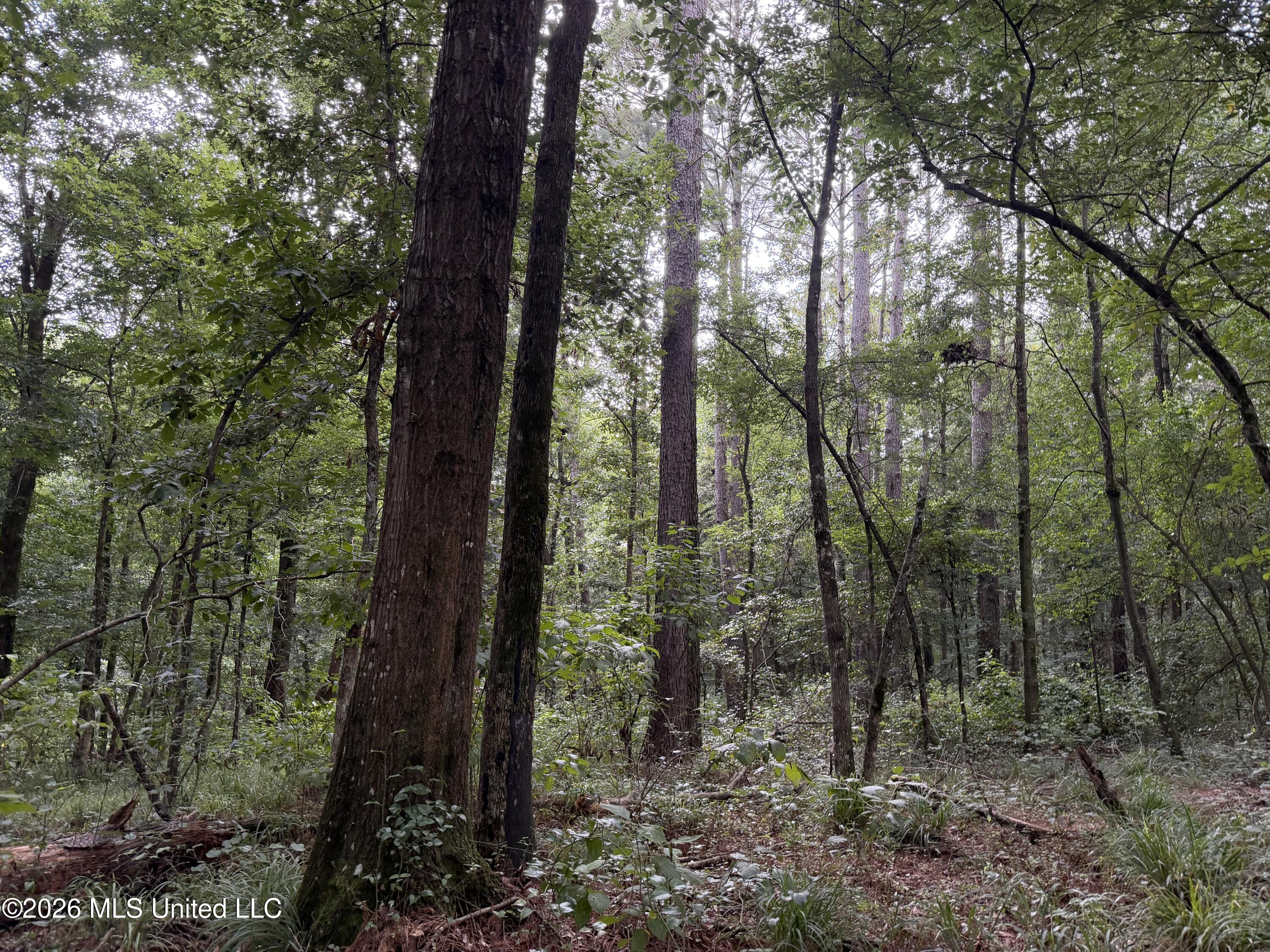 Shiloh Road Property Photo 3