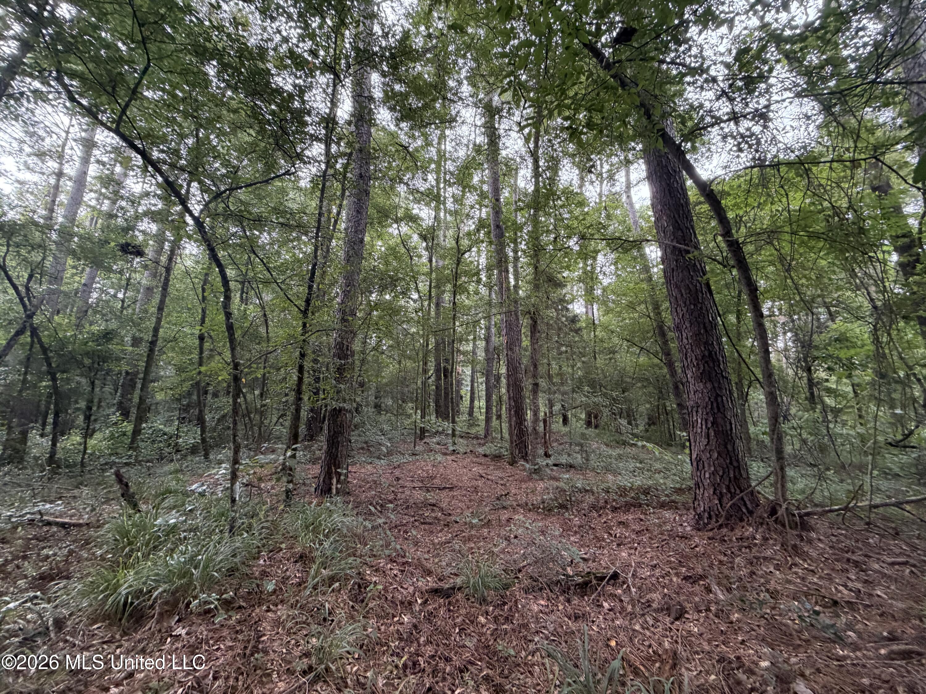 Shiloh Road Property Photo 5
