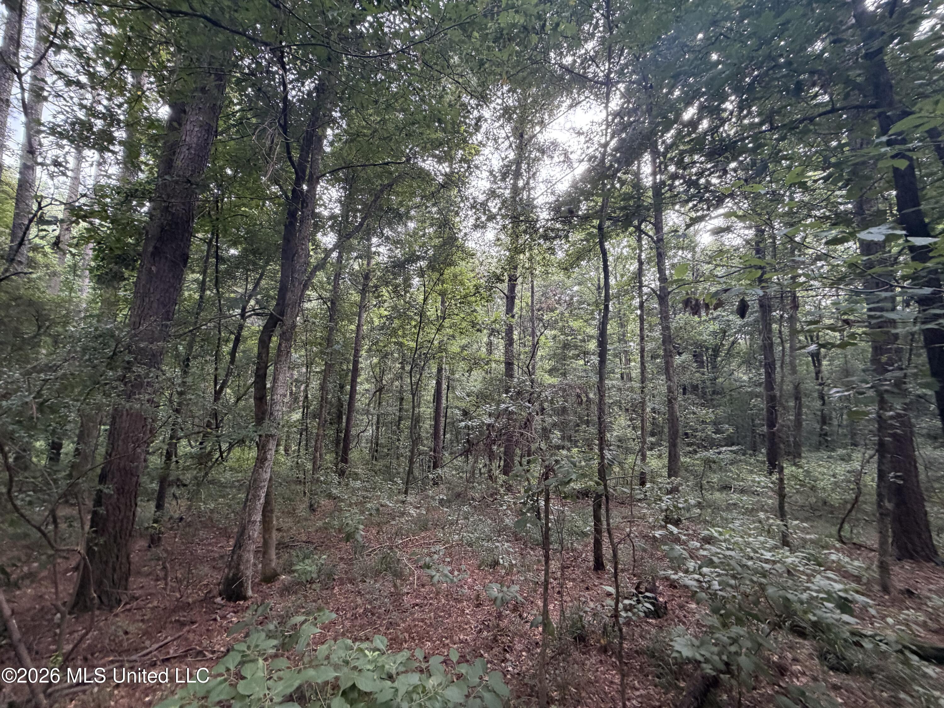 Shiloh Road Property Photo 8