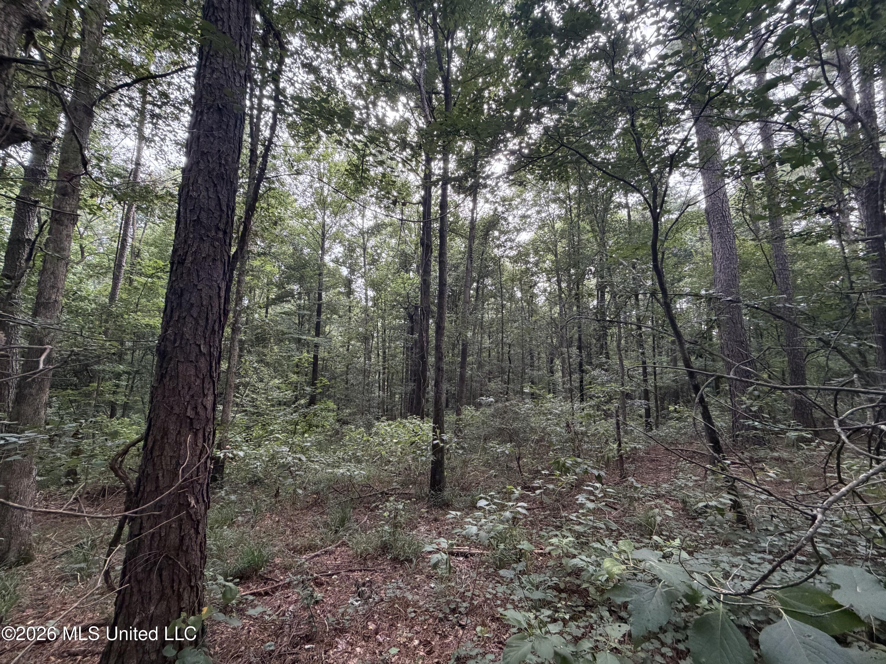 Shiloh Road Property Photo 9