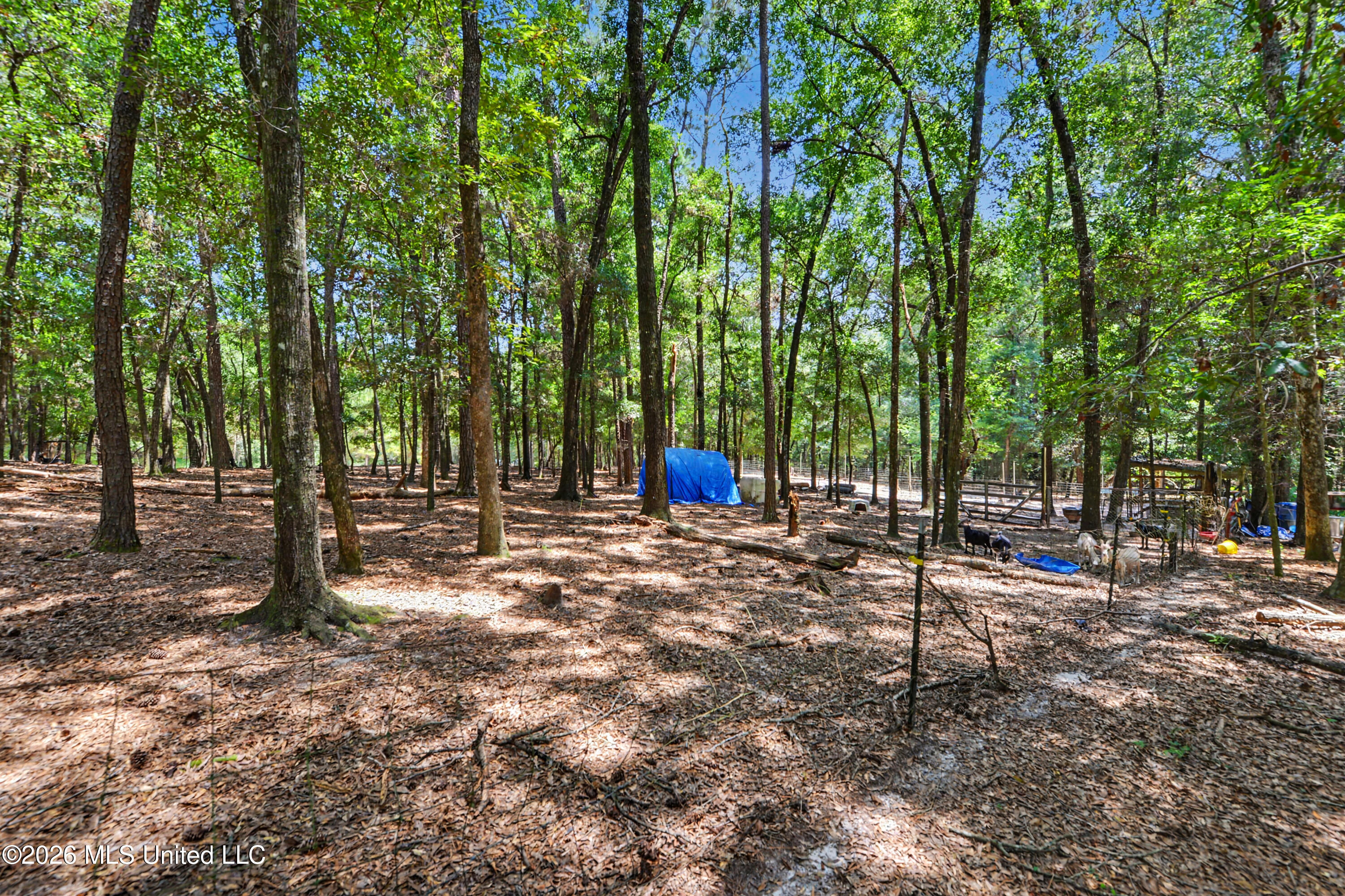 2637 Polly Lake Rd Road Property Photo 22