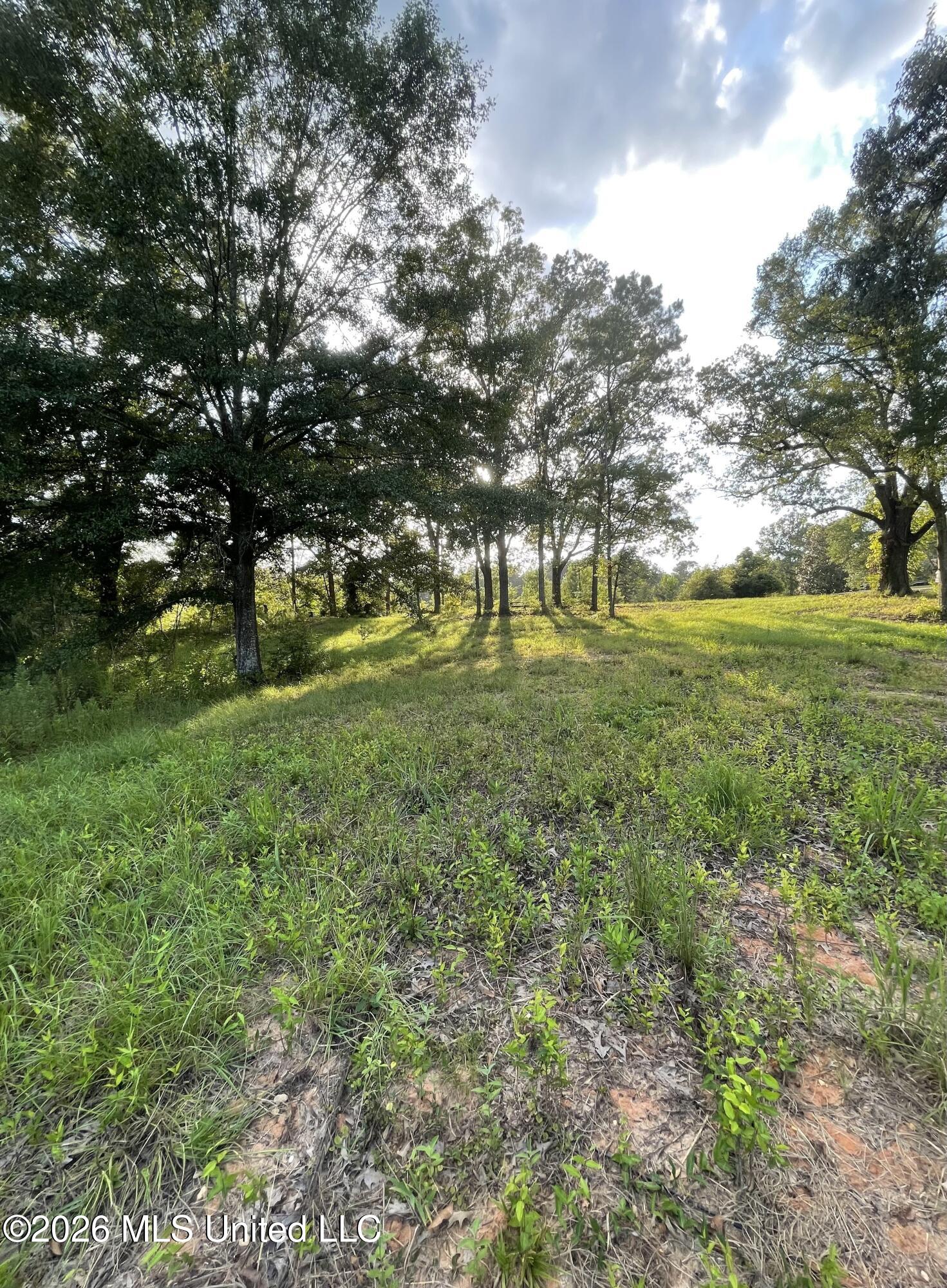 Roberts Lane Property Photo 4