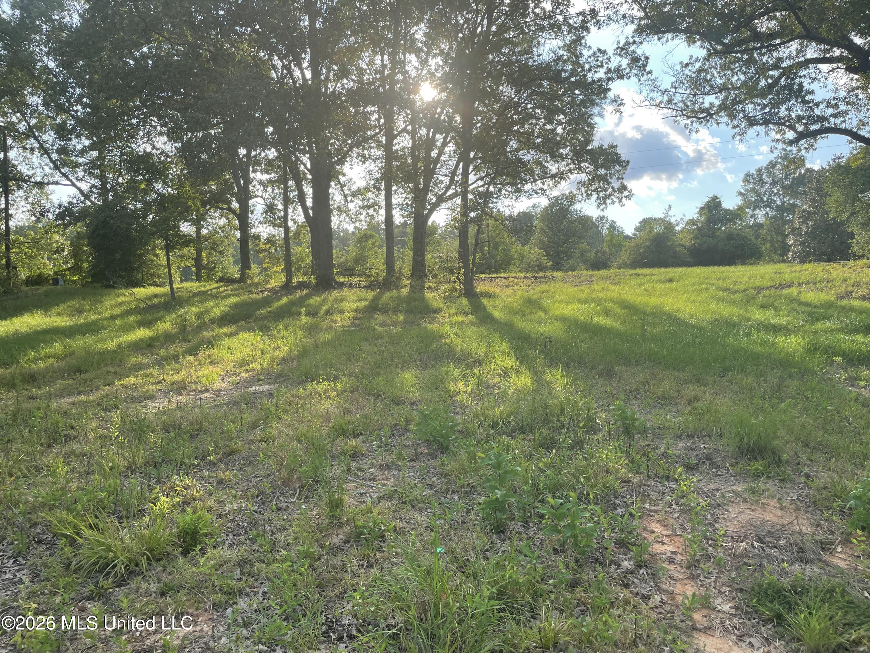 Roberts Lane Property Photo 6