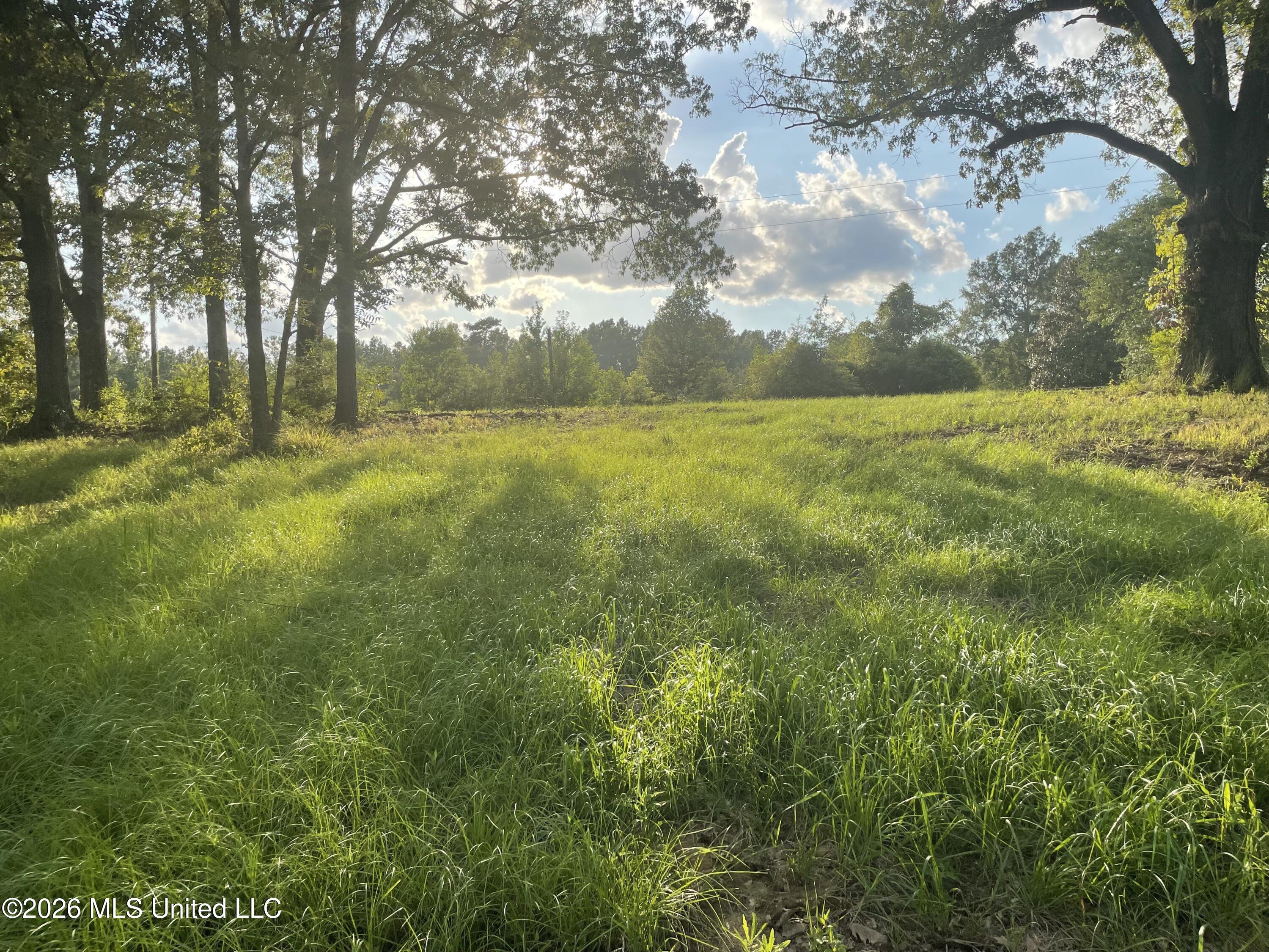 Roberts Lane Property Photo 9