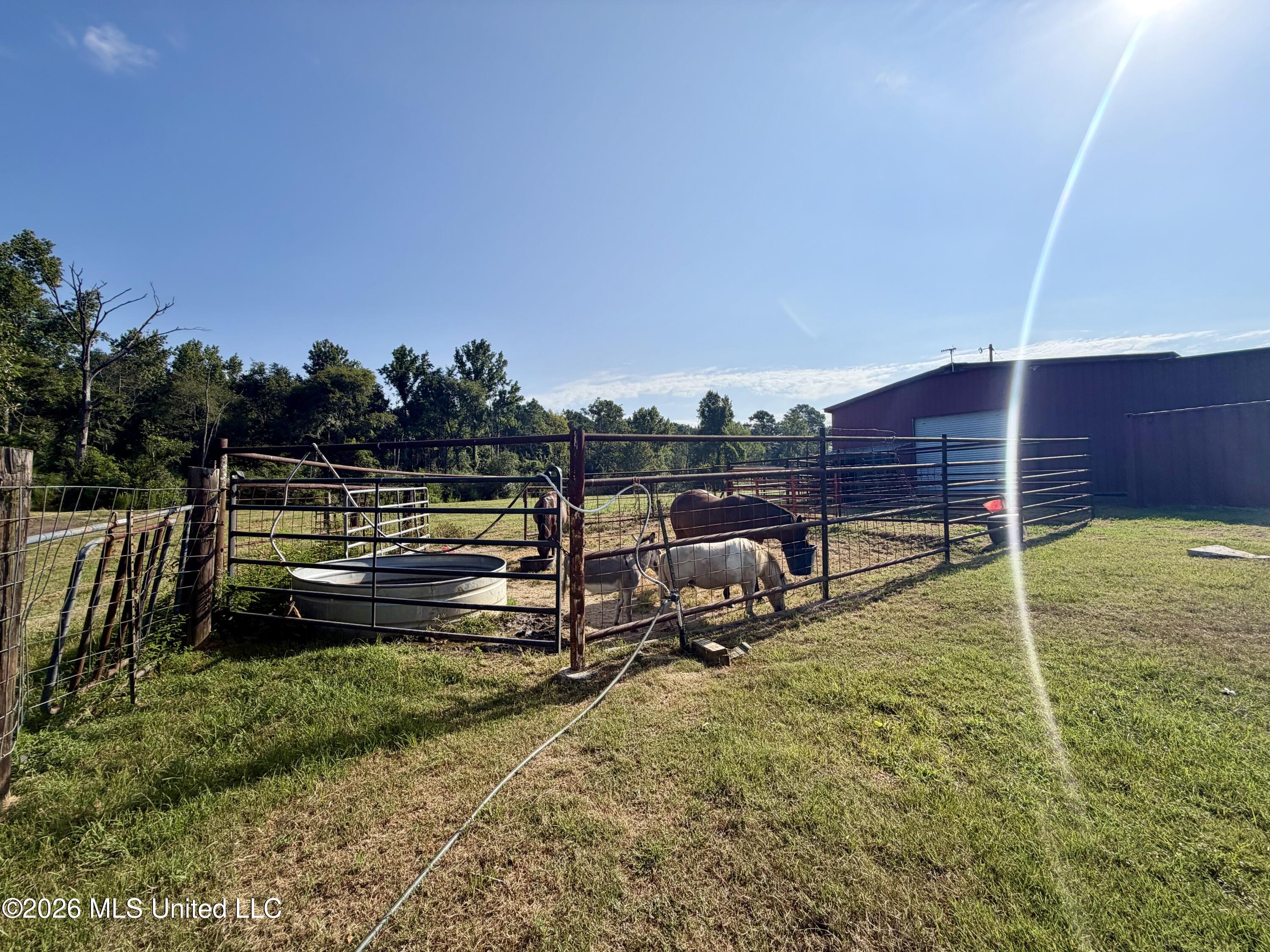 2417 Lake Lincoln Drive Property Photo 44