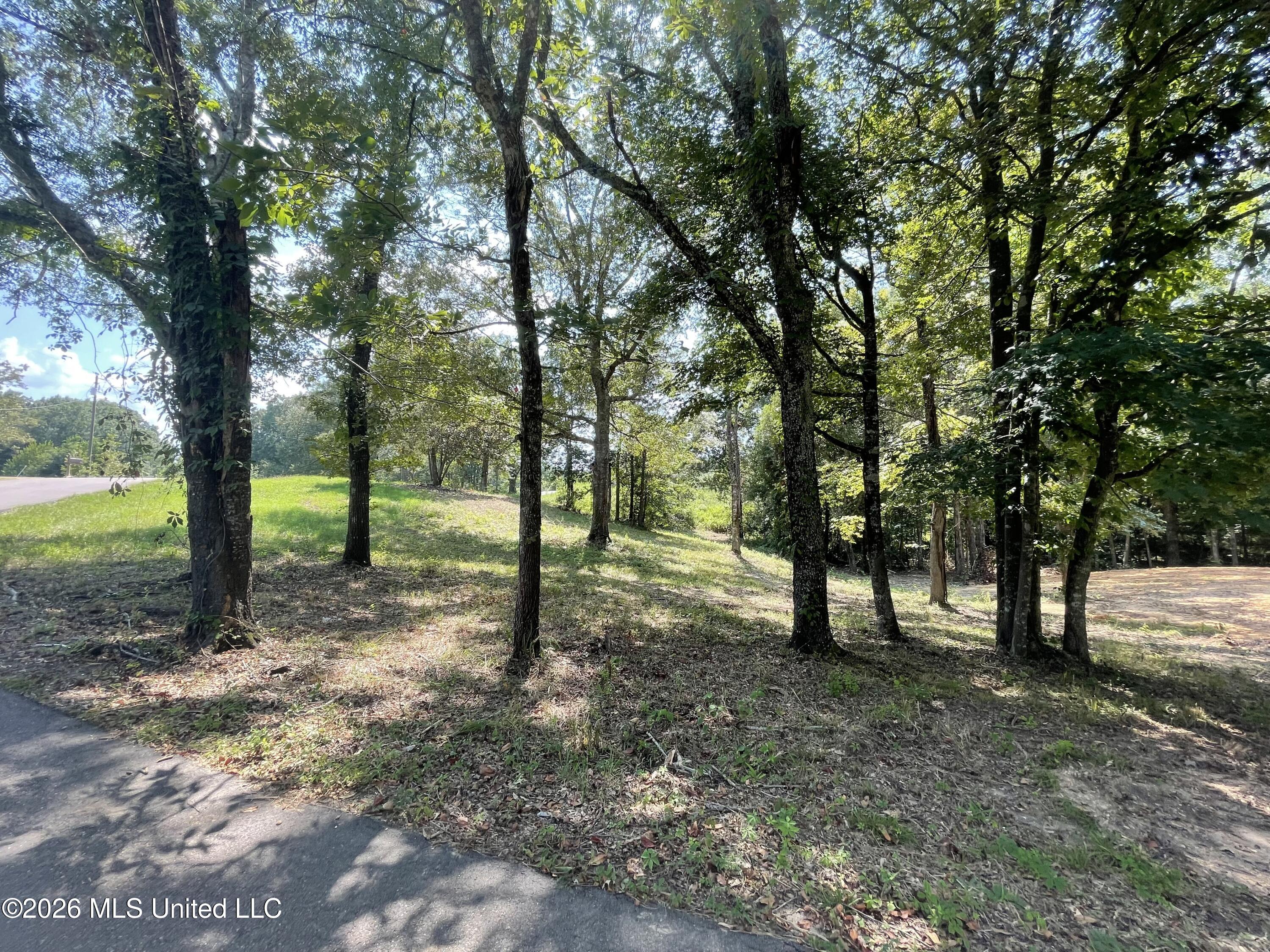 Roberts Lane Property Photo 3