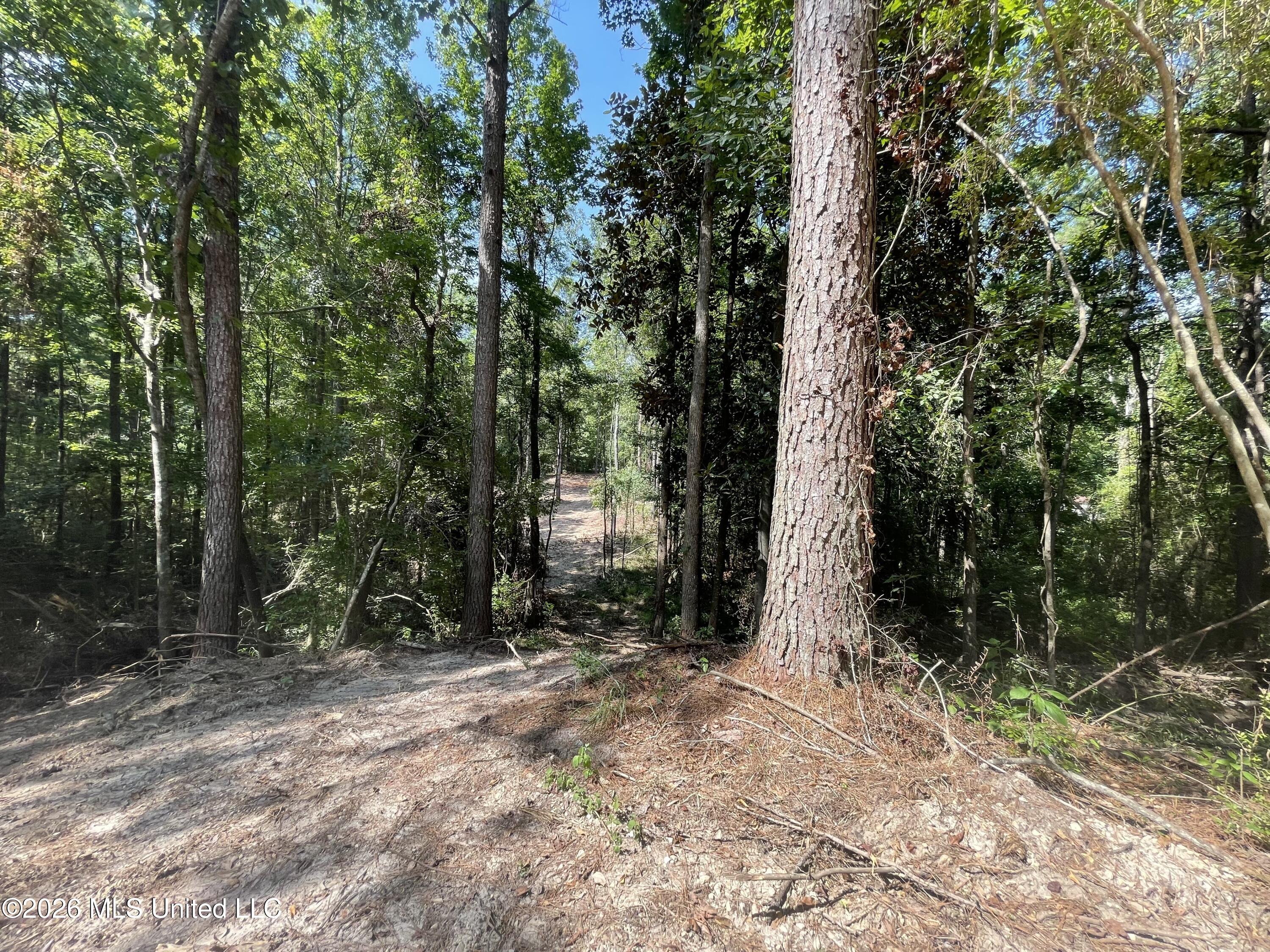 Roberts Lane Property Photo 7