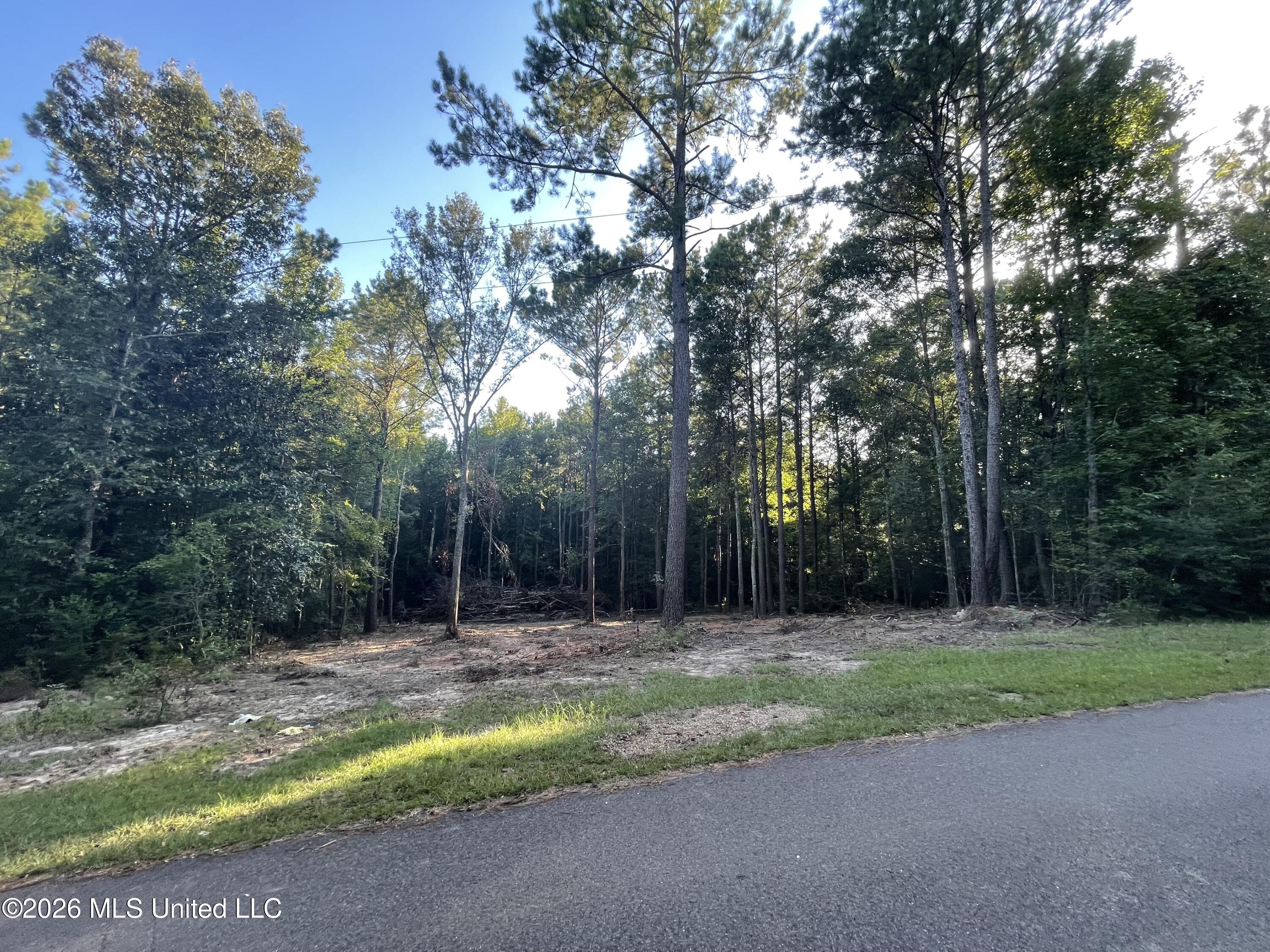 Roberts Lane Property Photo 8