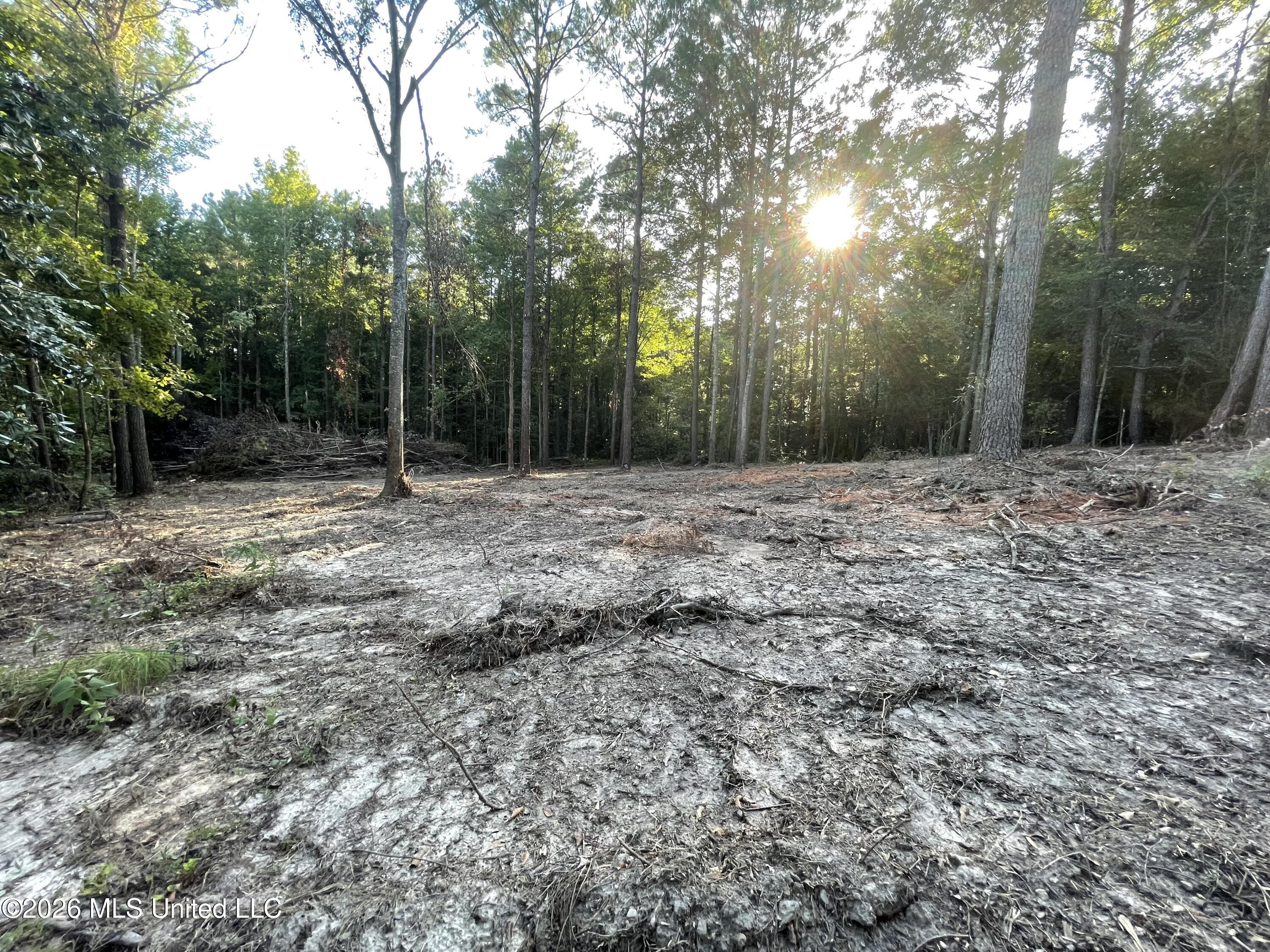 Roberts Lane Property Photo 9