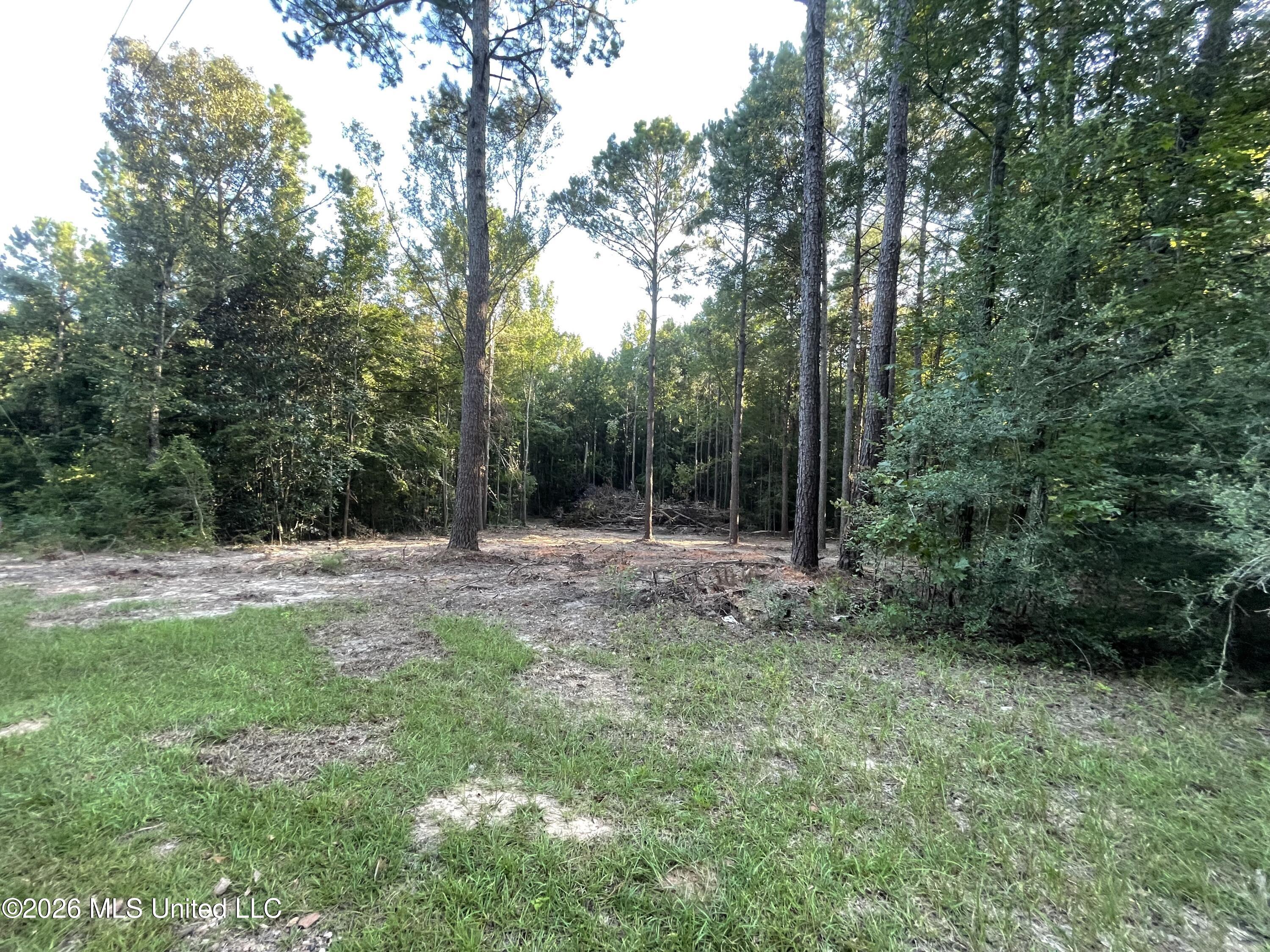 Roberts Lane Property Photo 10