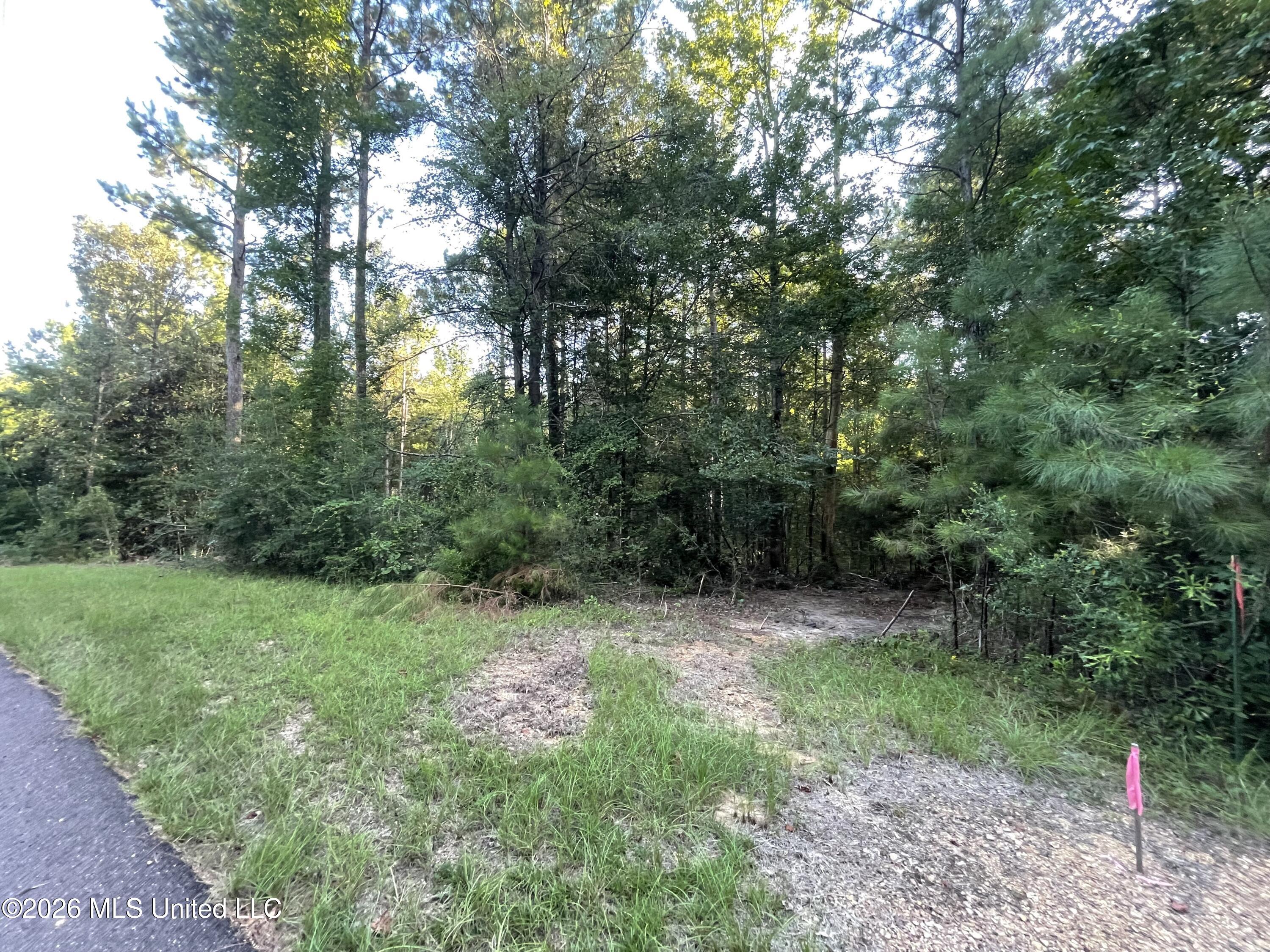 Roberts Lane Property Photo 11