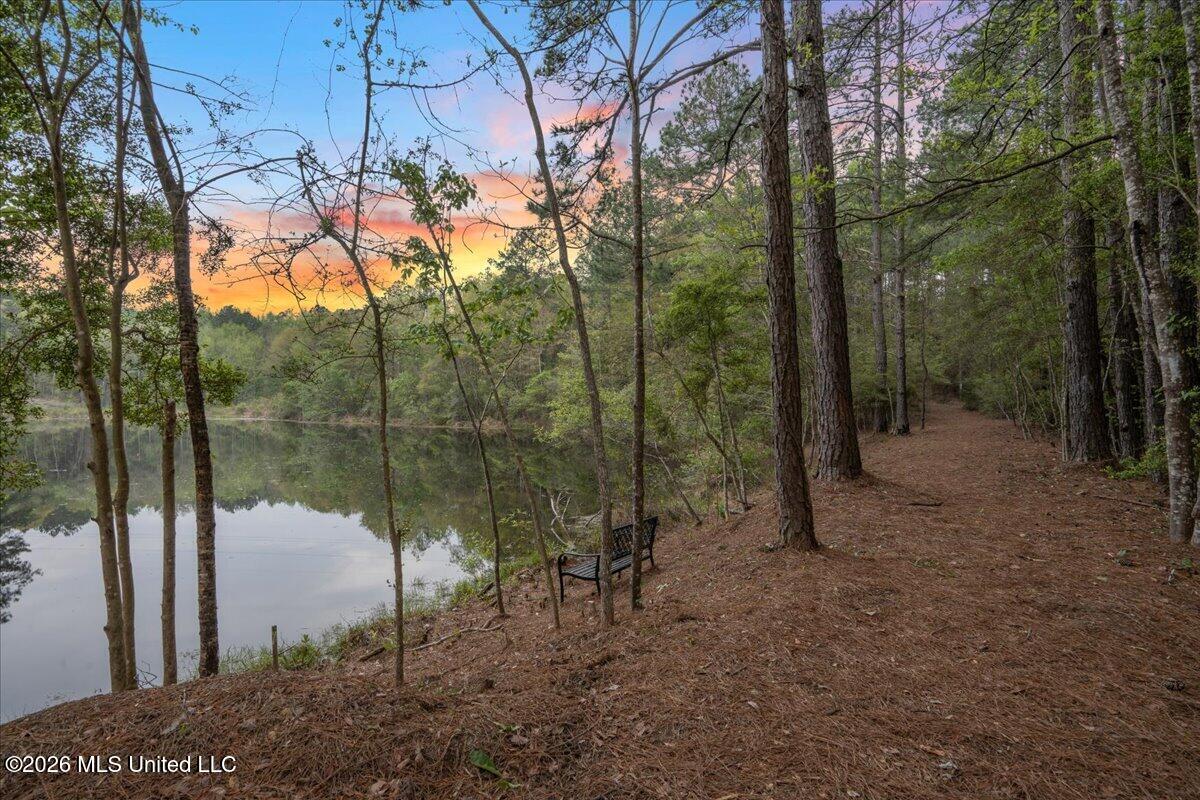 4407 U S Highway 49 Property Photo 14