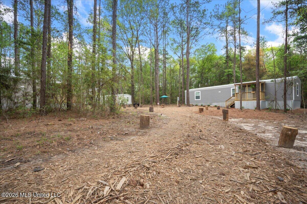4407 U S Highway 49 Property Photo 43