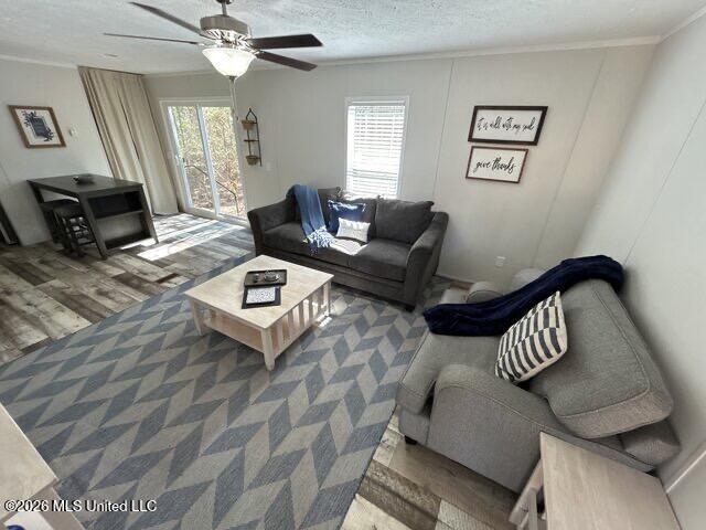 4407 U S Highway 49 Property Photo 53