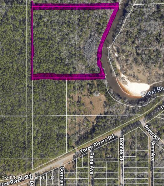 0 Off Three Rivers Property Photo 2