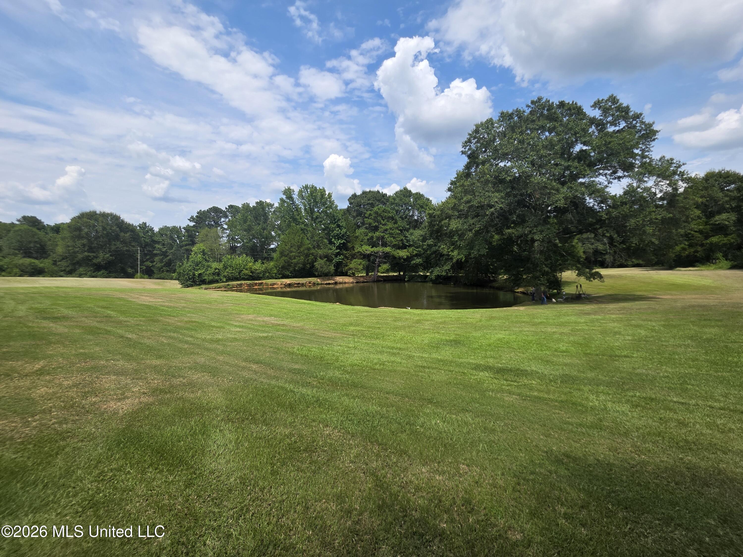 172 Willie Rankin Road Property Photo 46