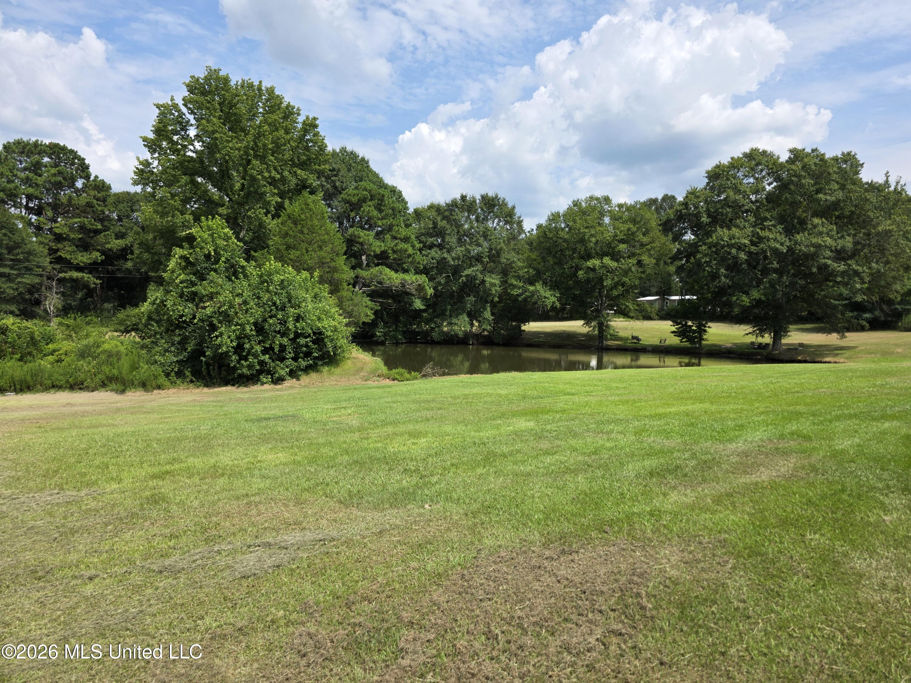 172 Willie Rankin Road Property Photo 49