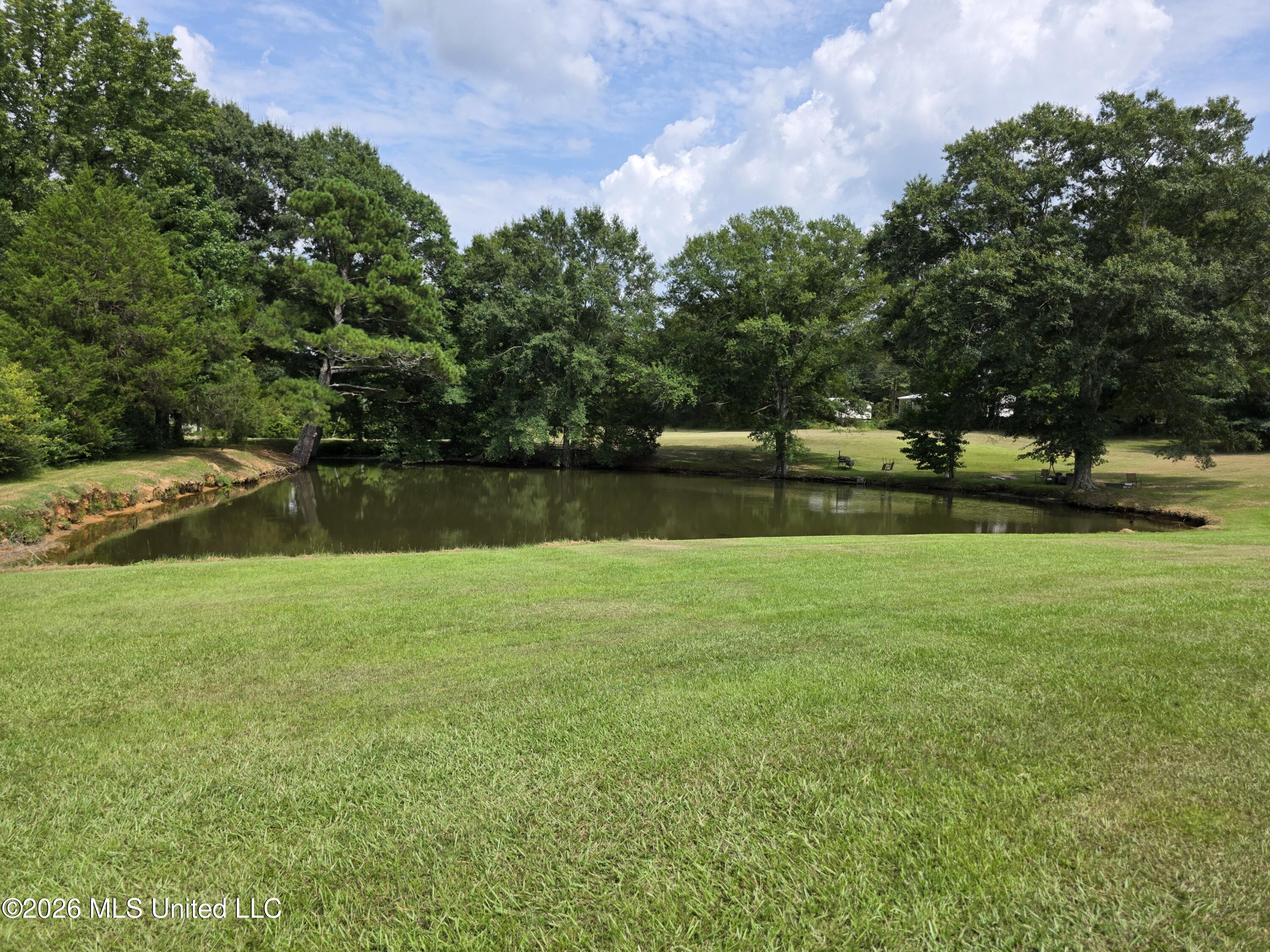 172 Willie Rankin Road Property Photo 50