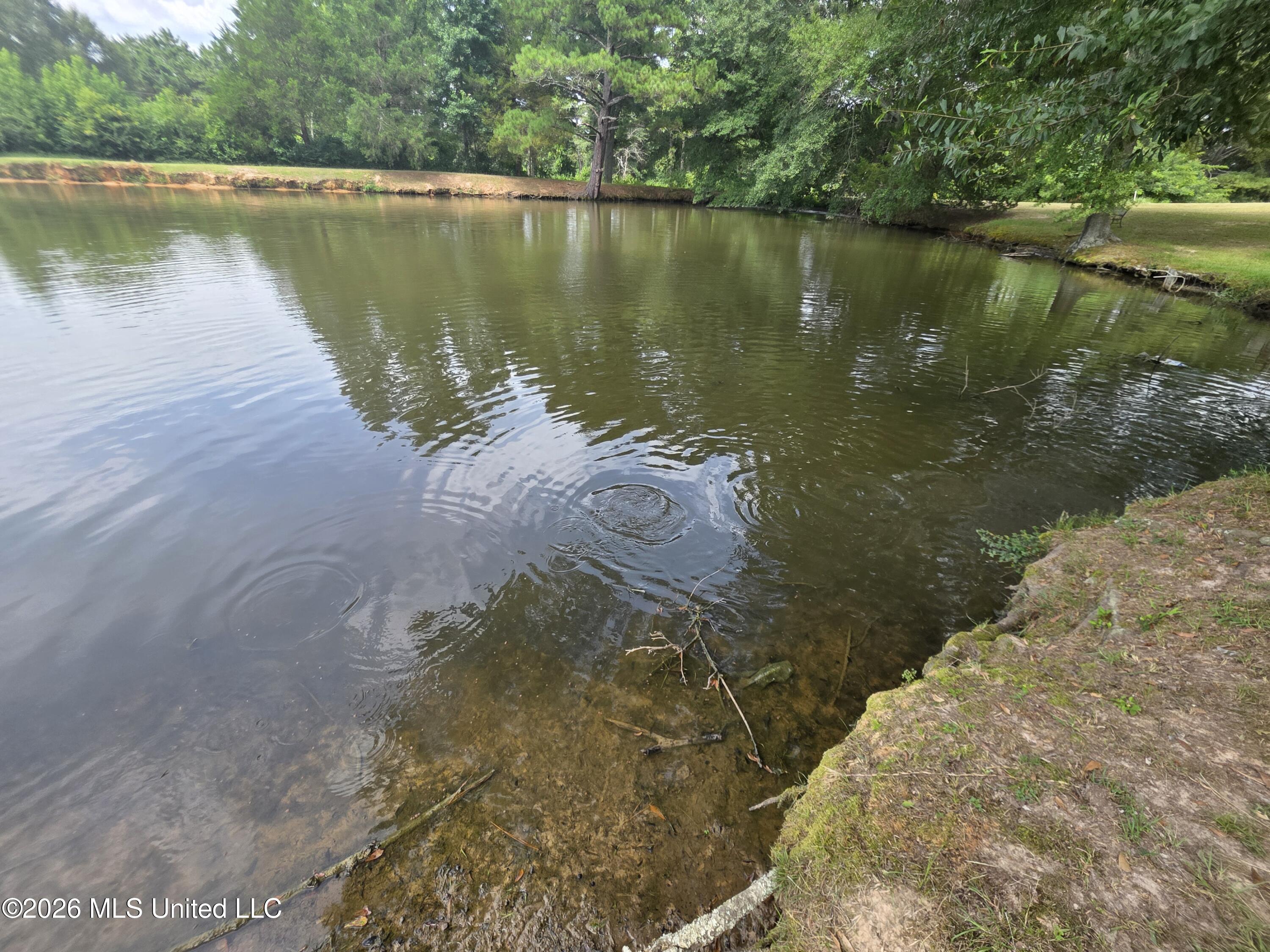 172 Willie Rankin Road Property Photo 55
